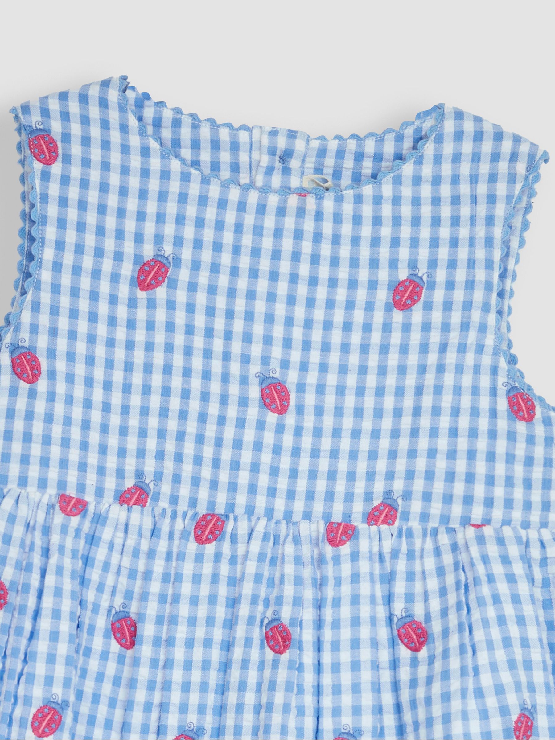 Blue Ladybird Gingham Embroidered Summer Dress - Image 3 of 5
