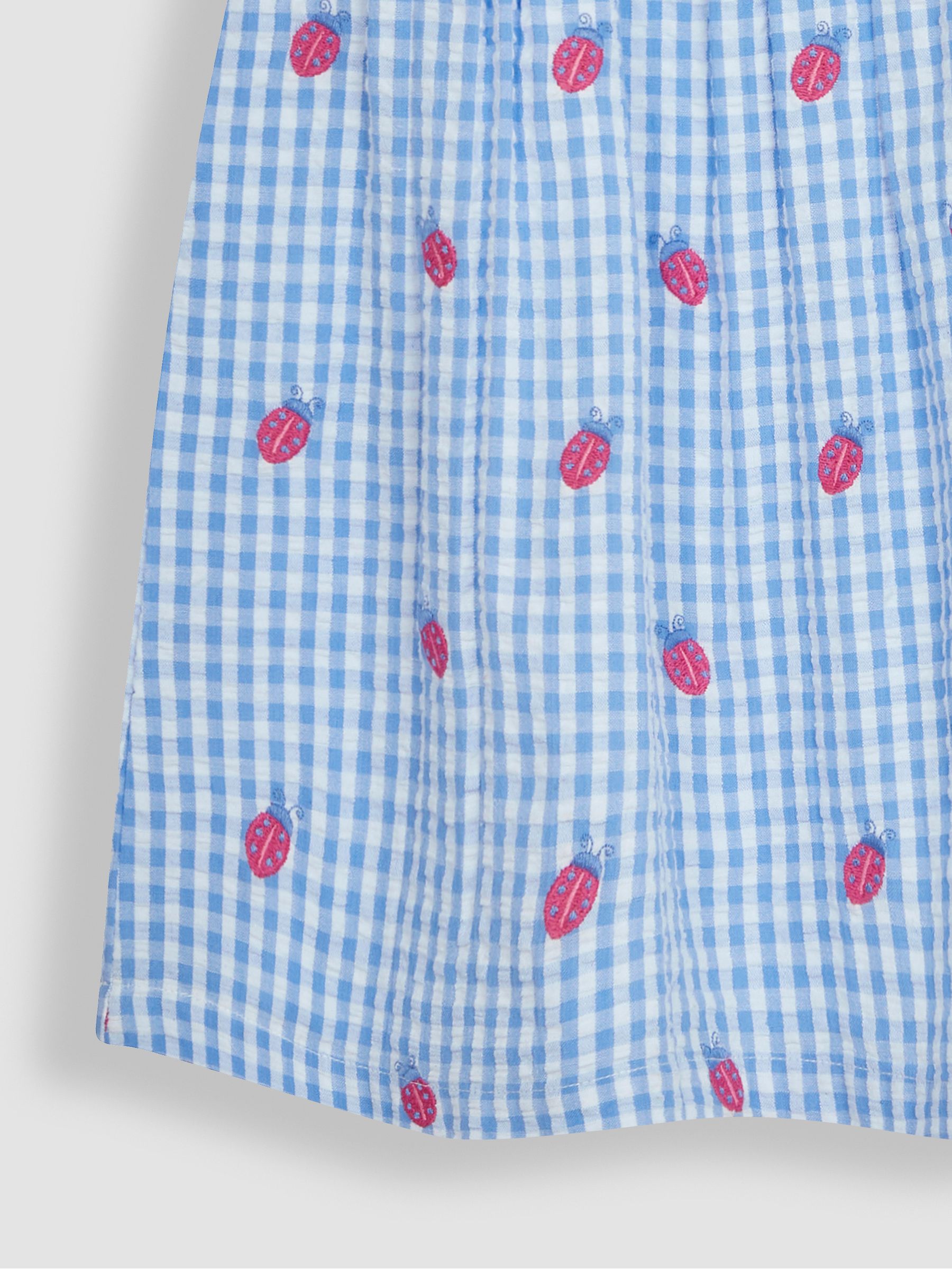 Blue Ladybird Gingham Embroidered Summer Dress - Image 5 of 5