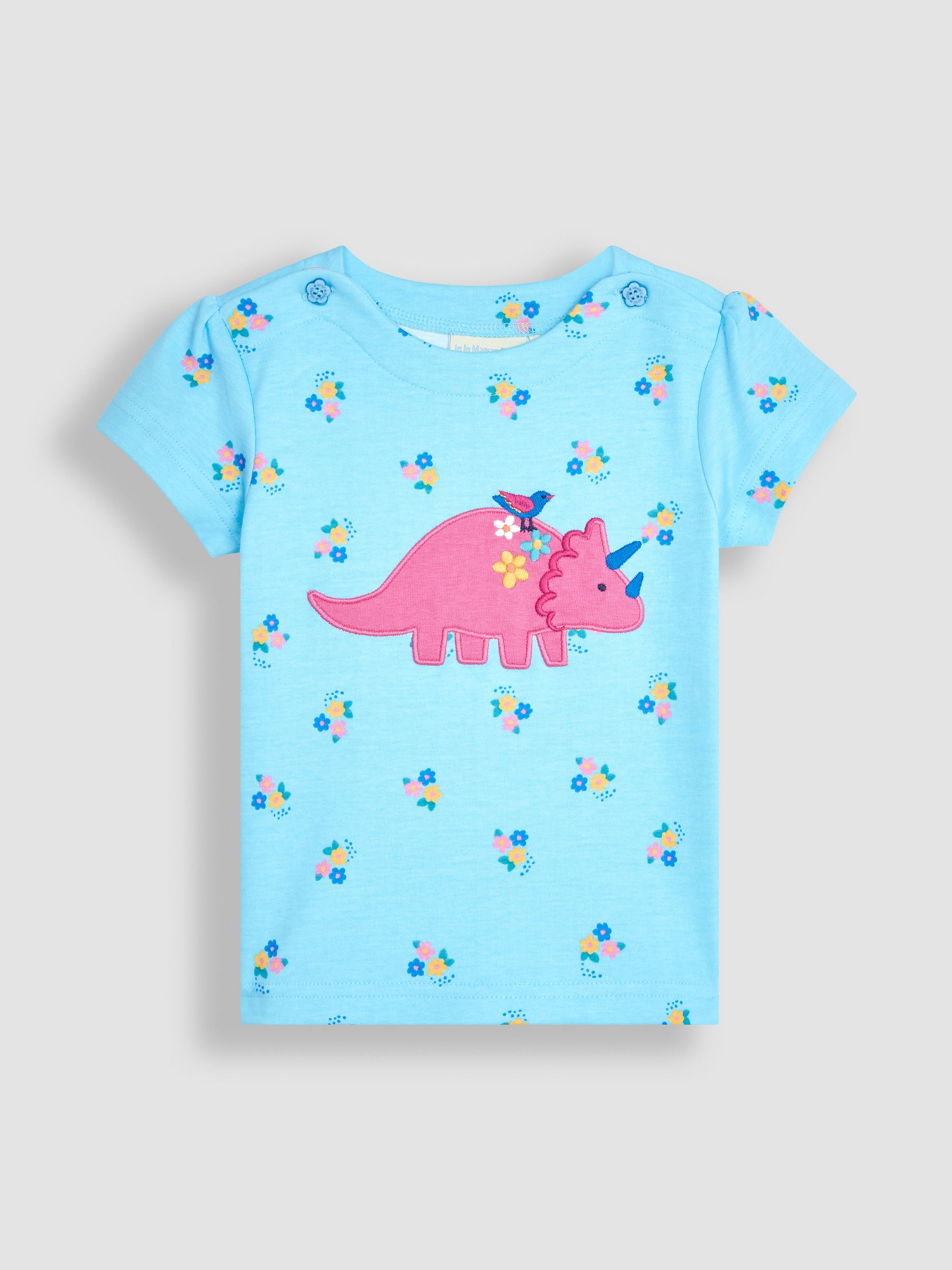 Duck Egg Blue Dino Appliqué T-Shirt - Image 1 of 3