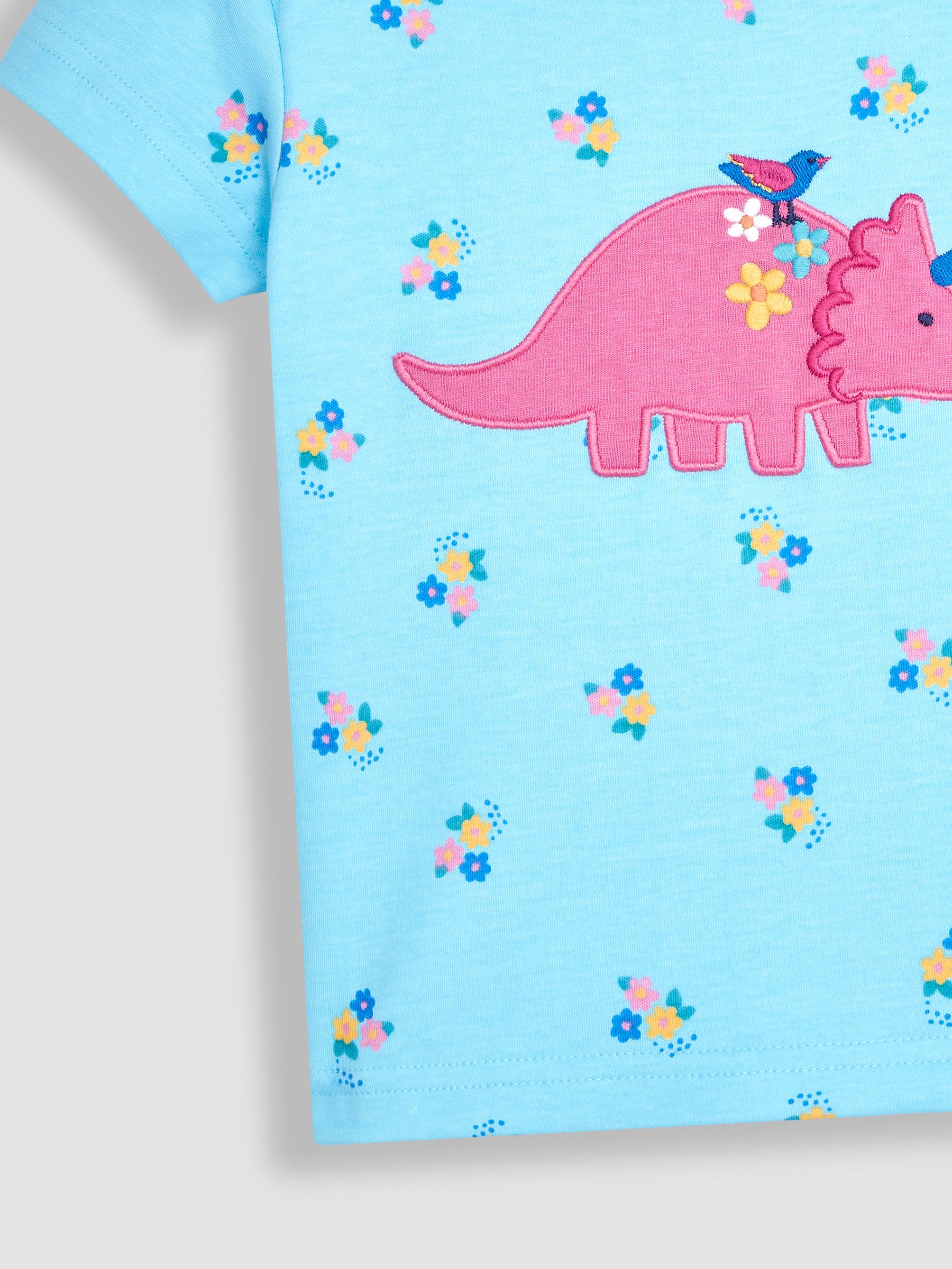 Duck Egg Blue Dino Appliqué T-Shirt - Image 3 of 3