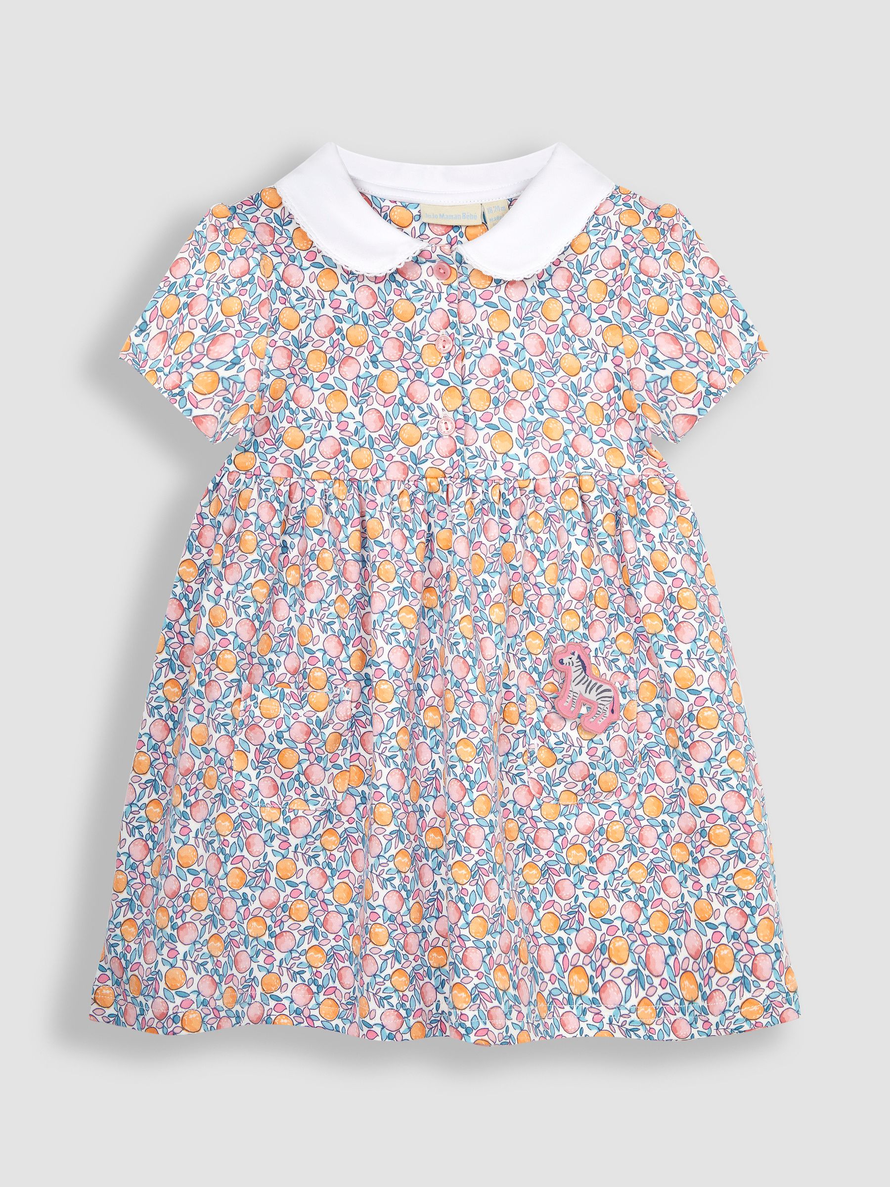 Pink Apple & Peach Floral Peter Pan Pet In Pocket Jersey Dress - Image 1 of 4