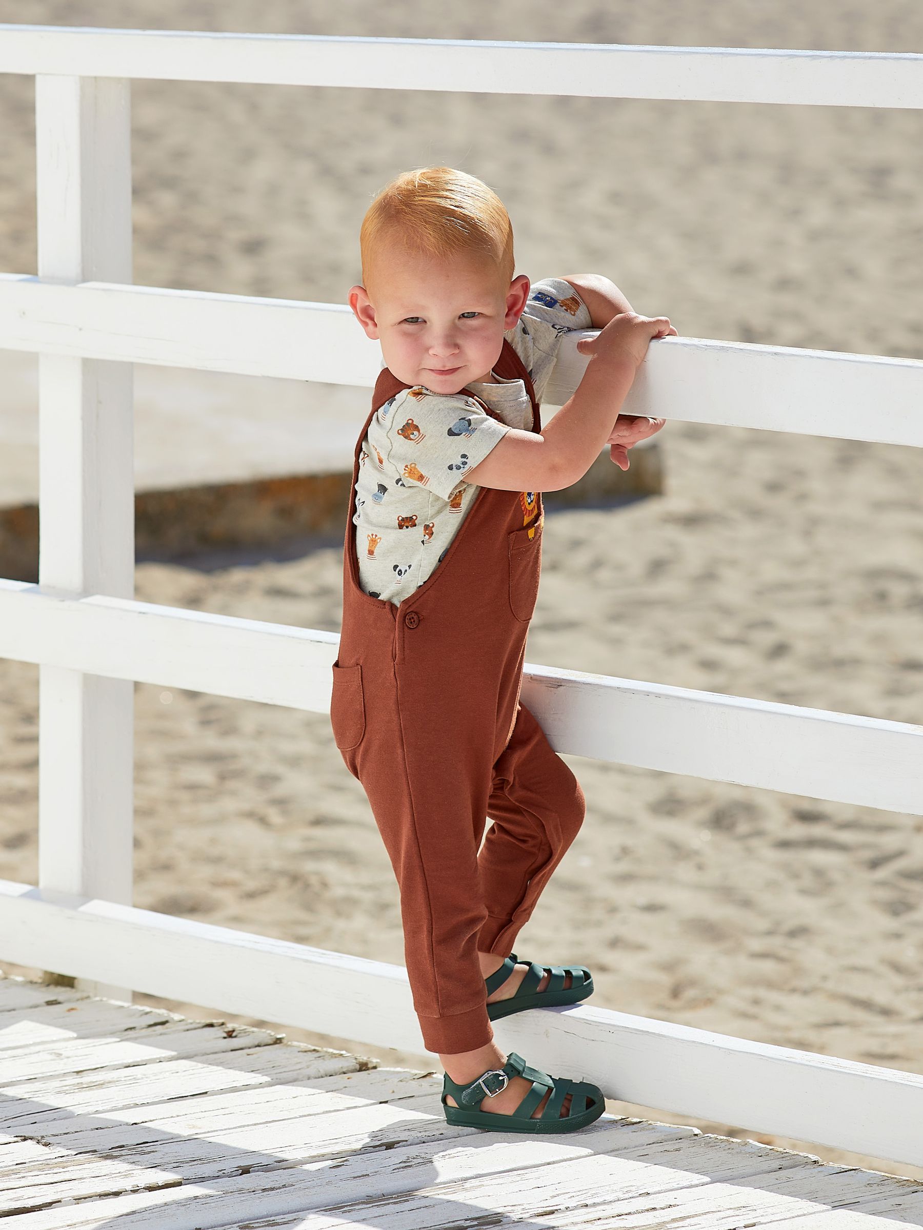 Brown Lion Appliqué Trouser Dungarees & T-Shirt Set - Image 2 of 7