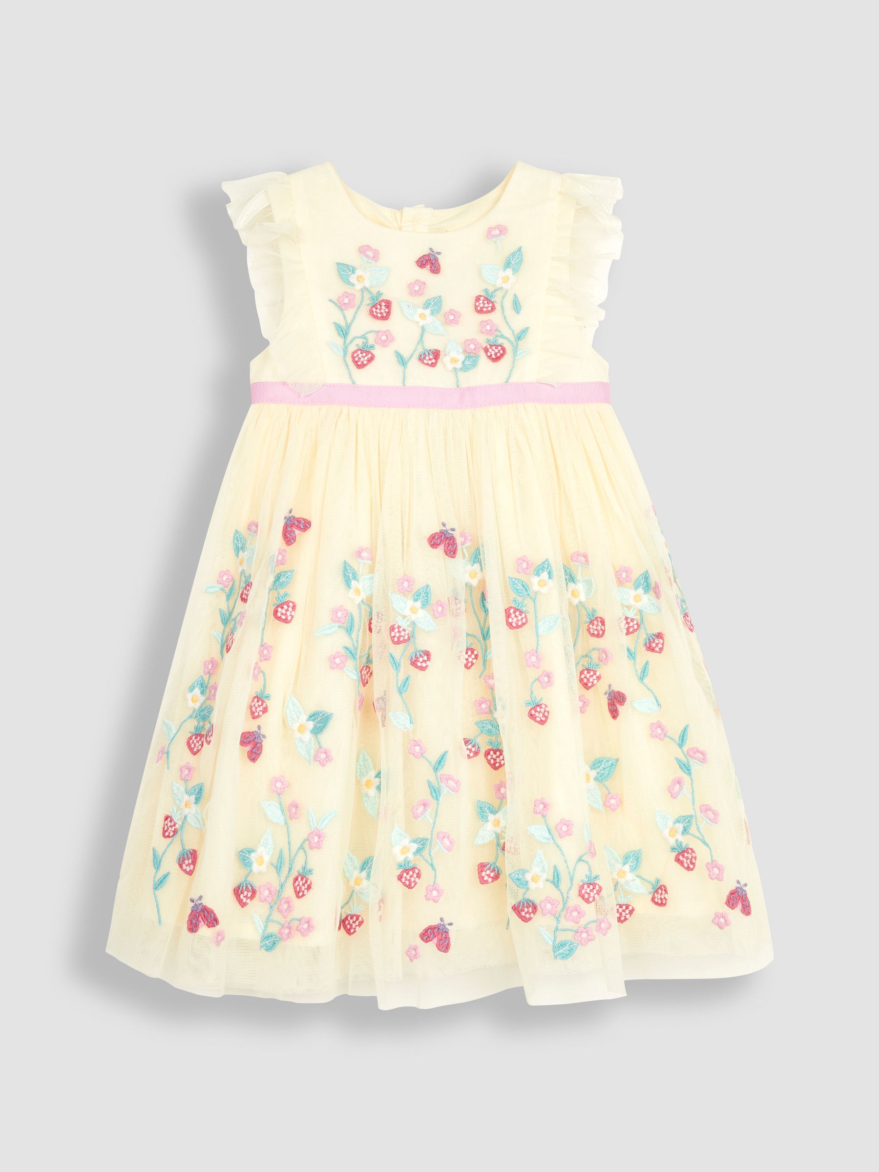 Cream Strawberry Embroidered Tulle Pretty Party Dress - Image 4 of 6