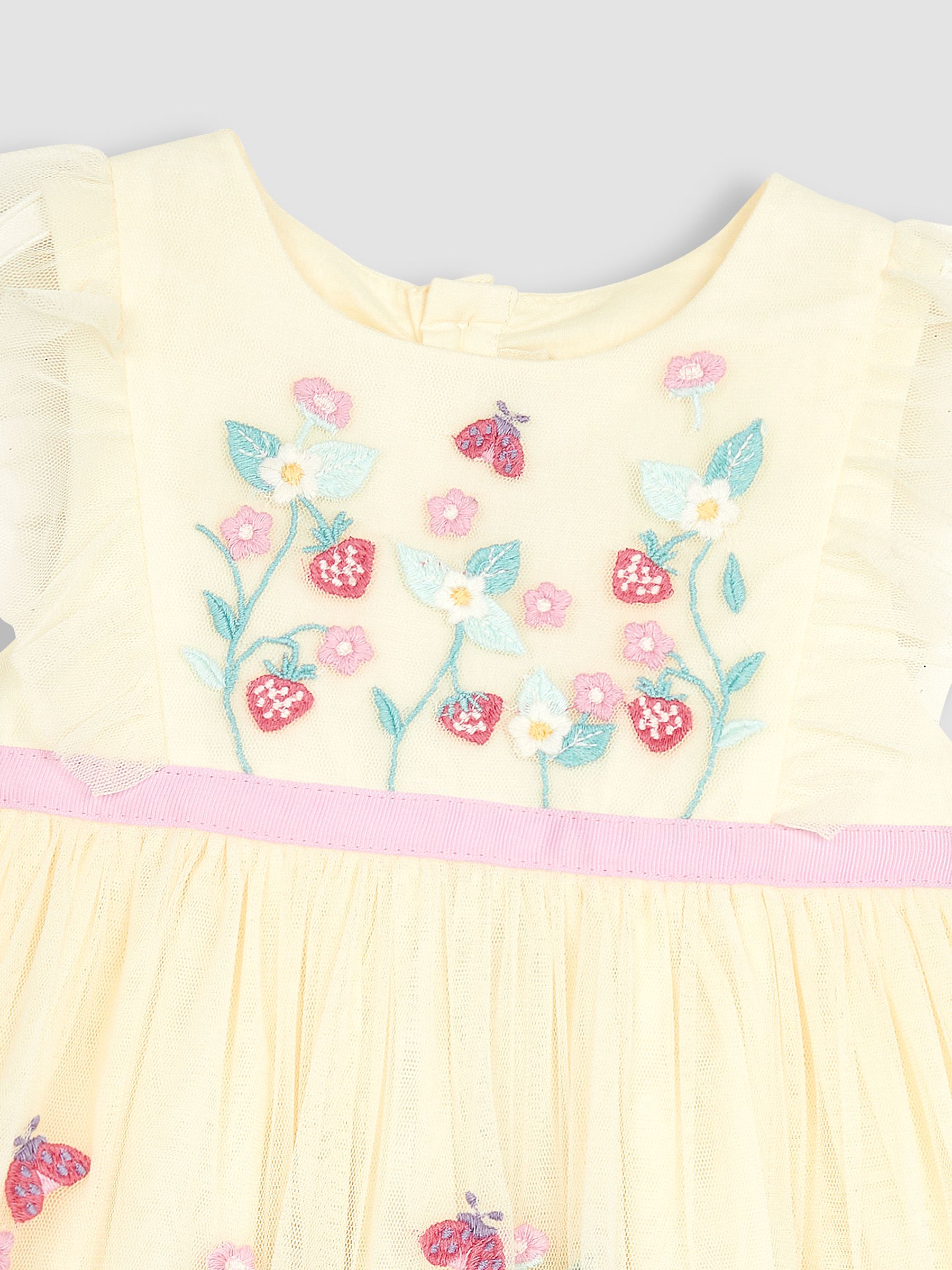 Cream Strawberry Embroidered Tulle Pretty Party Dress - Image 5 of 6