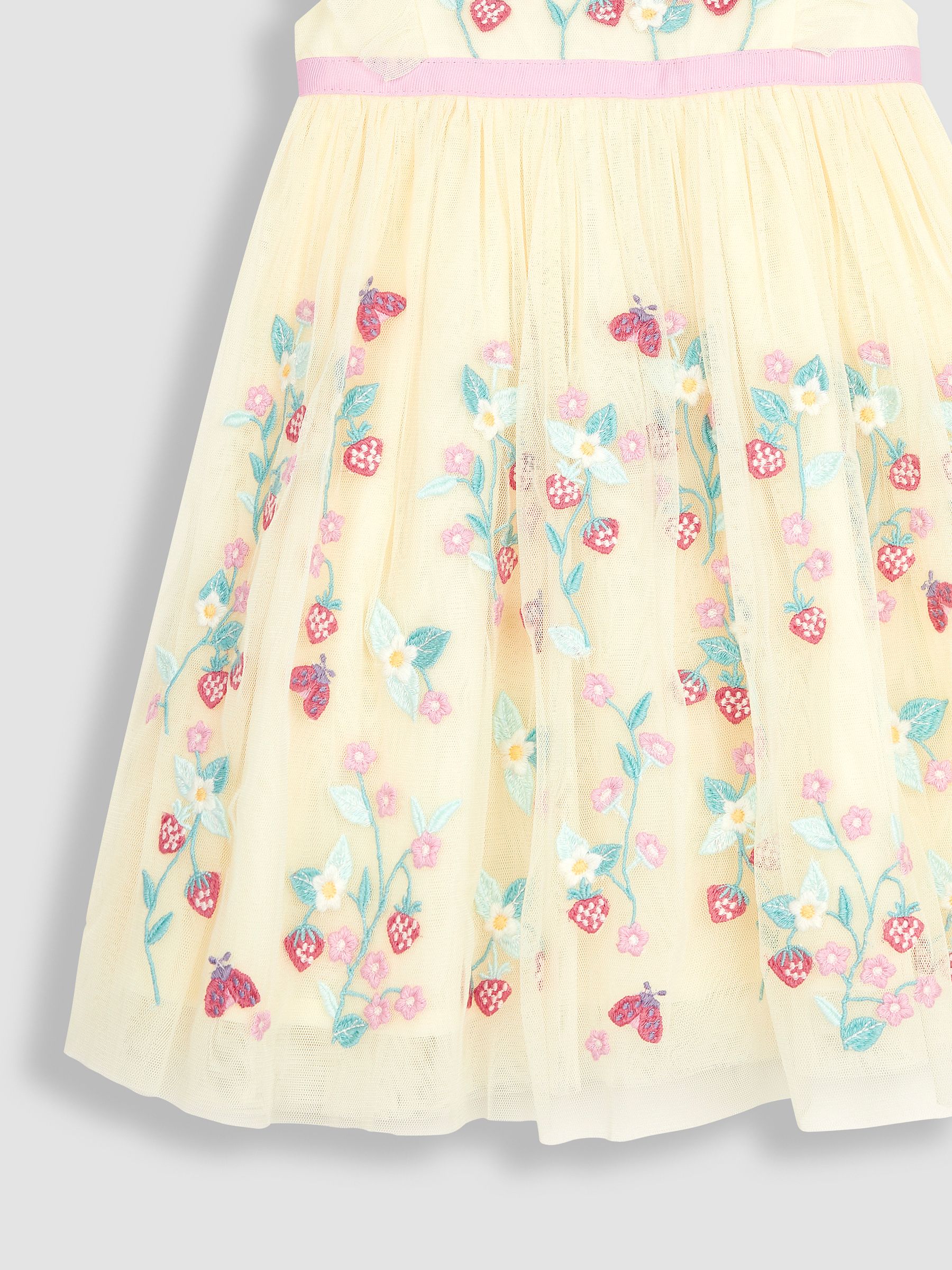 Cream Strawberry Embroidered Tulle Pretty Party Dress - Image 6 of 6