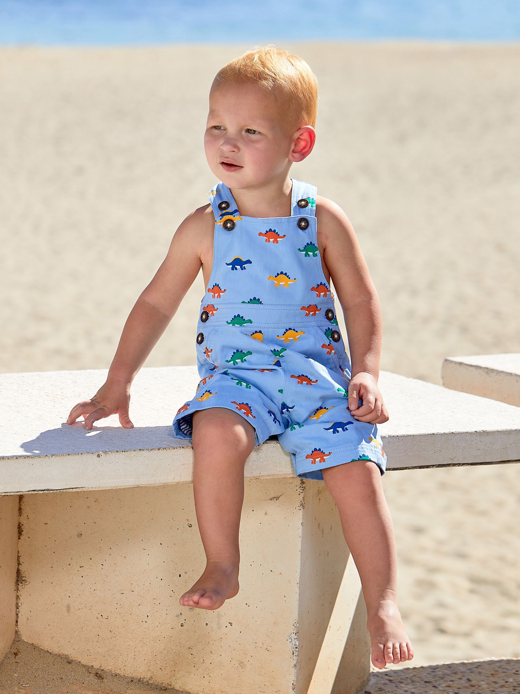 Blue Stegosaurus Printed Dungarees - Image 1 of 3