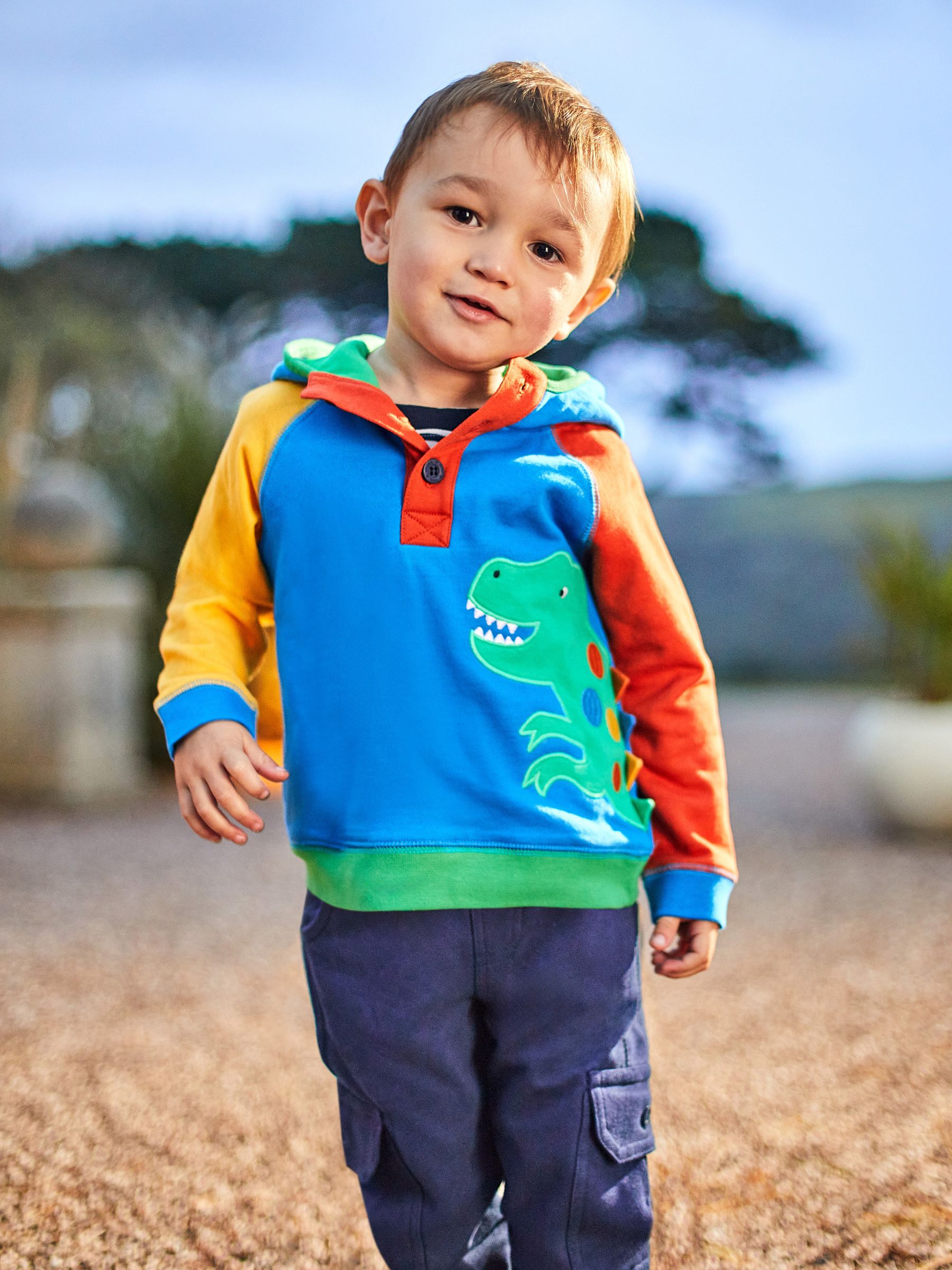 Blue Dino Appliqué Hooded Sweatshirt - Image 1 of 4