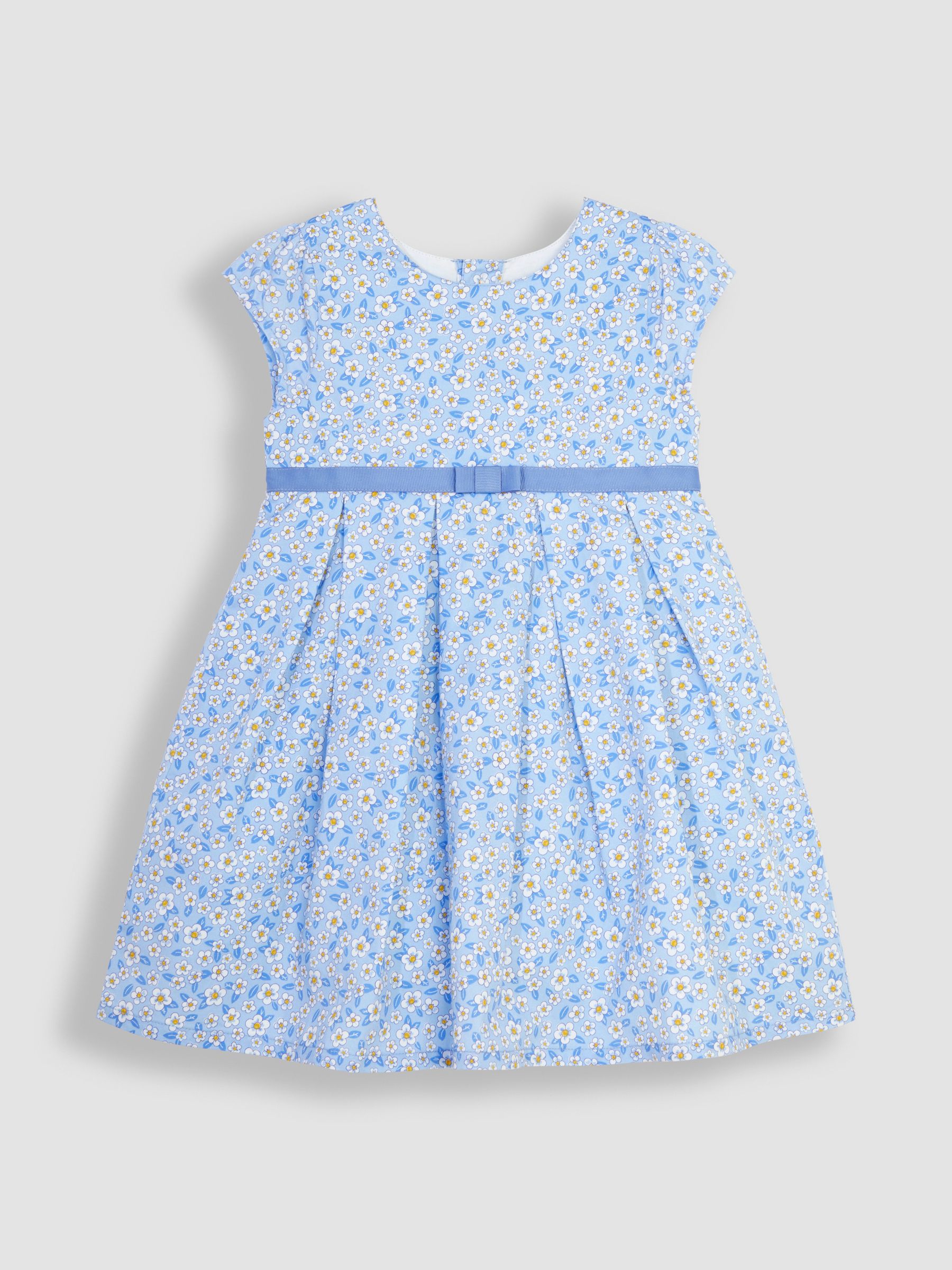 Blue Daisy Party Dress - Image 1 of 3