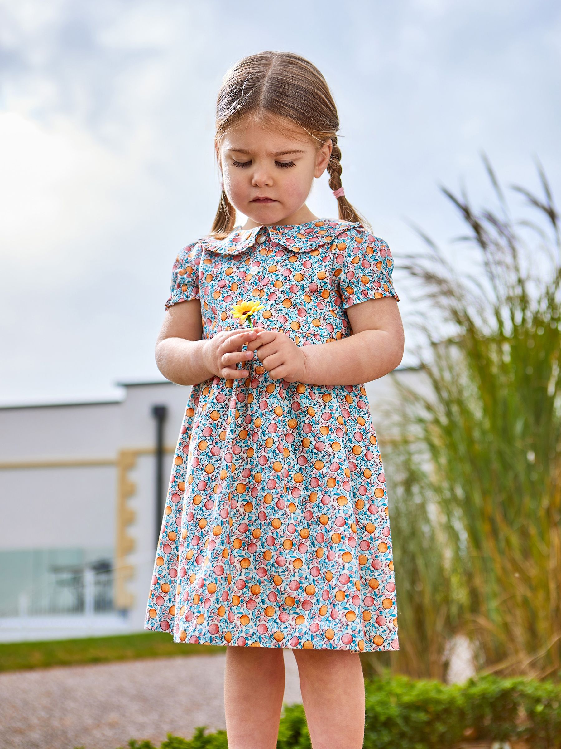 Pink Apple & Peach Button Front Collar Tea Dress - Image 1 of 6