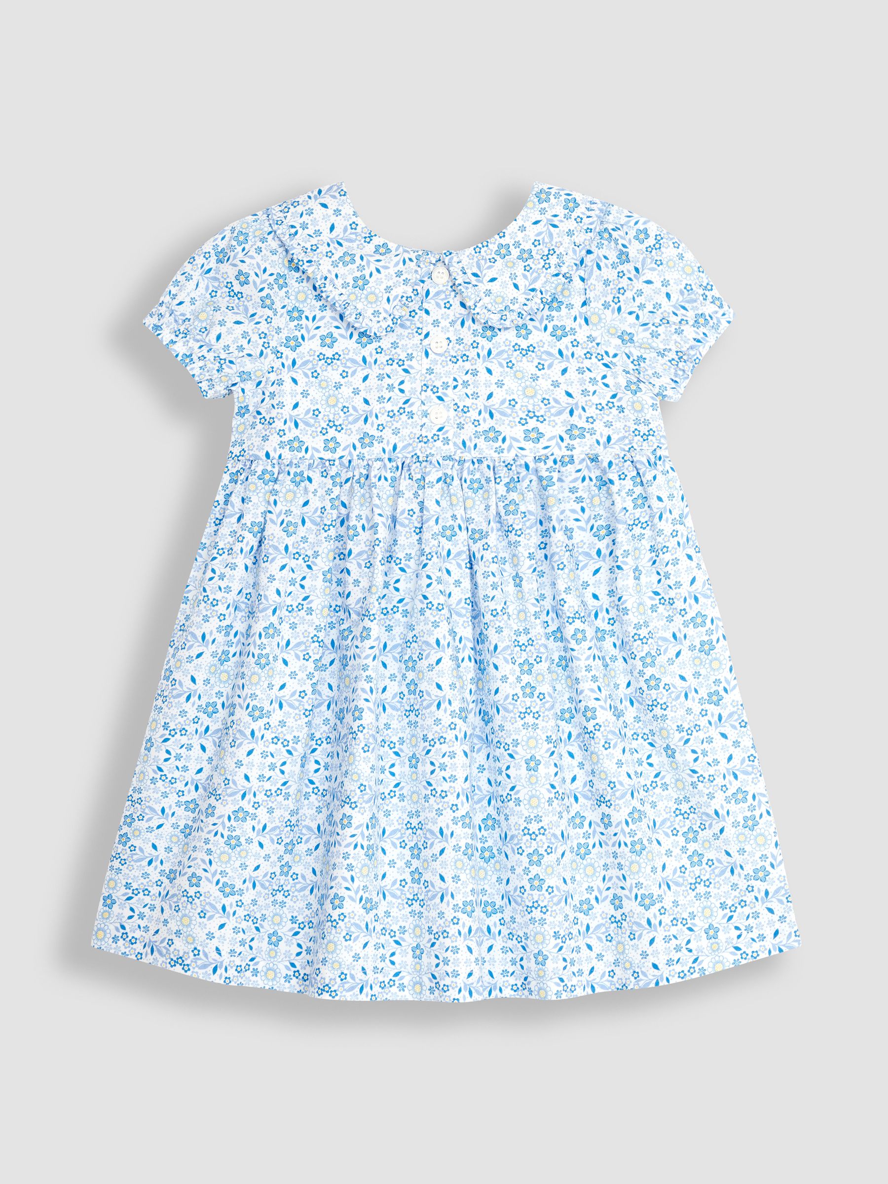 Blue Floral Button Front Collar Tea Dress - Image 1 of 1