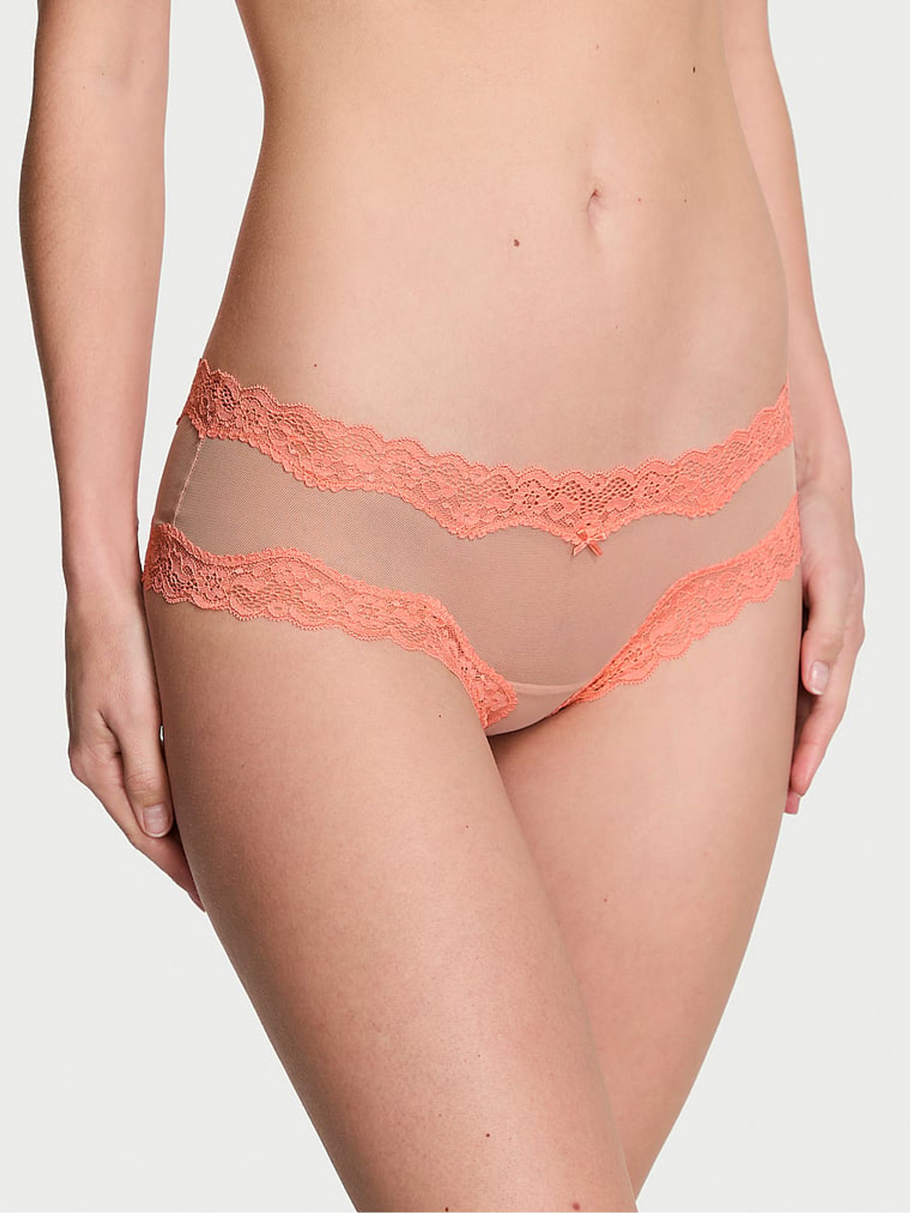 Evening Blush Nude Mesh Cheeky Knickers - Image 1 of 3