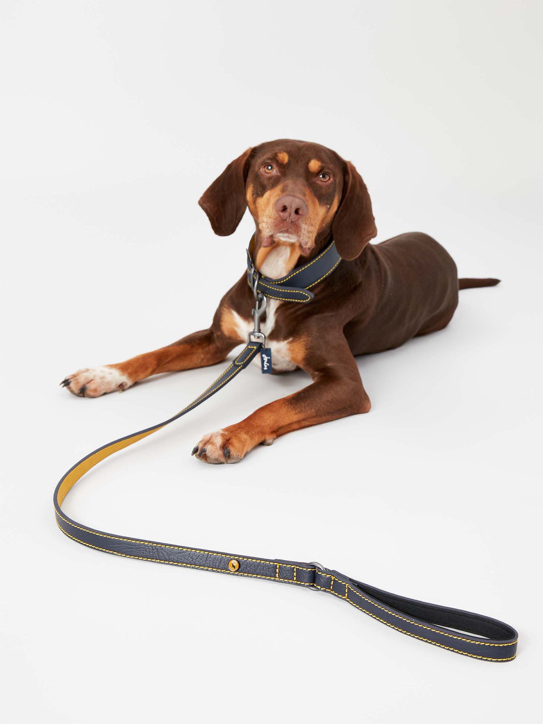 Navy Leather Dog Lead - Image 1 of 4