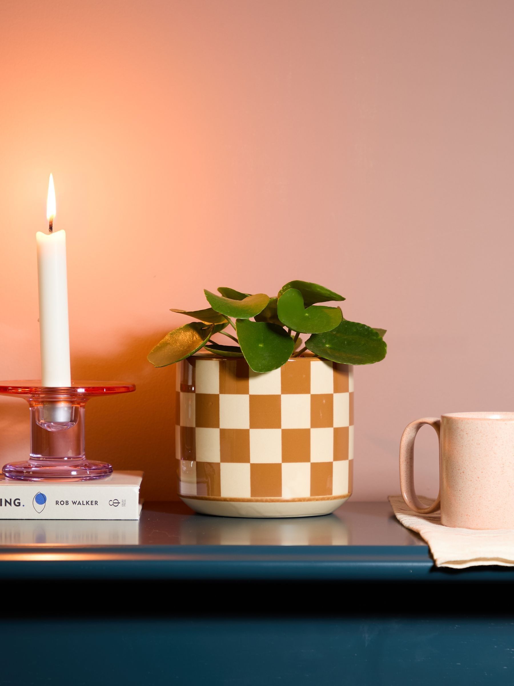 PATCH Brown Penny Chinese Money Plant In 'Chess' Pot - Image 1 of 4