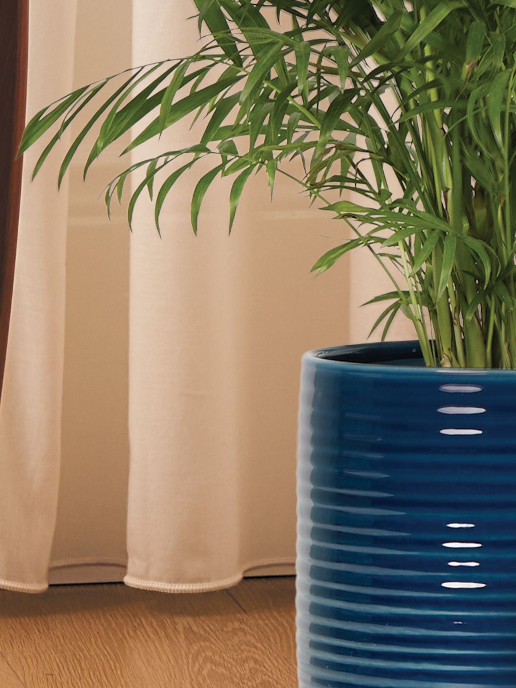 PATCH Blue Sharon Parlour Palm Plant Large In Ceramic Glazed Pot - Image 2 of 4