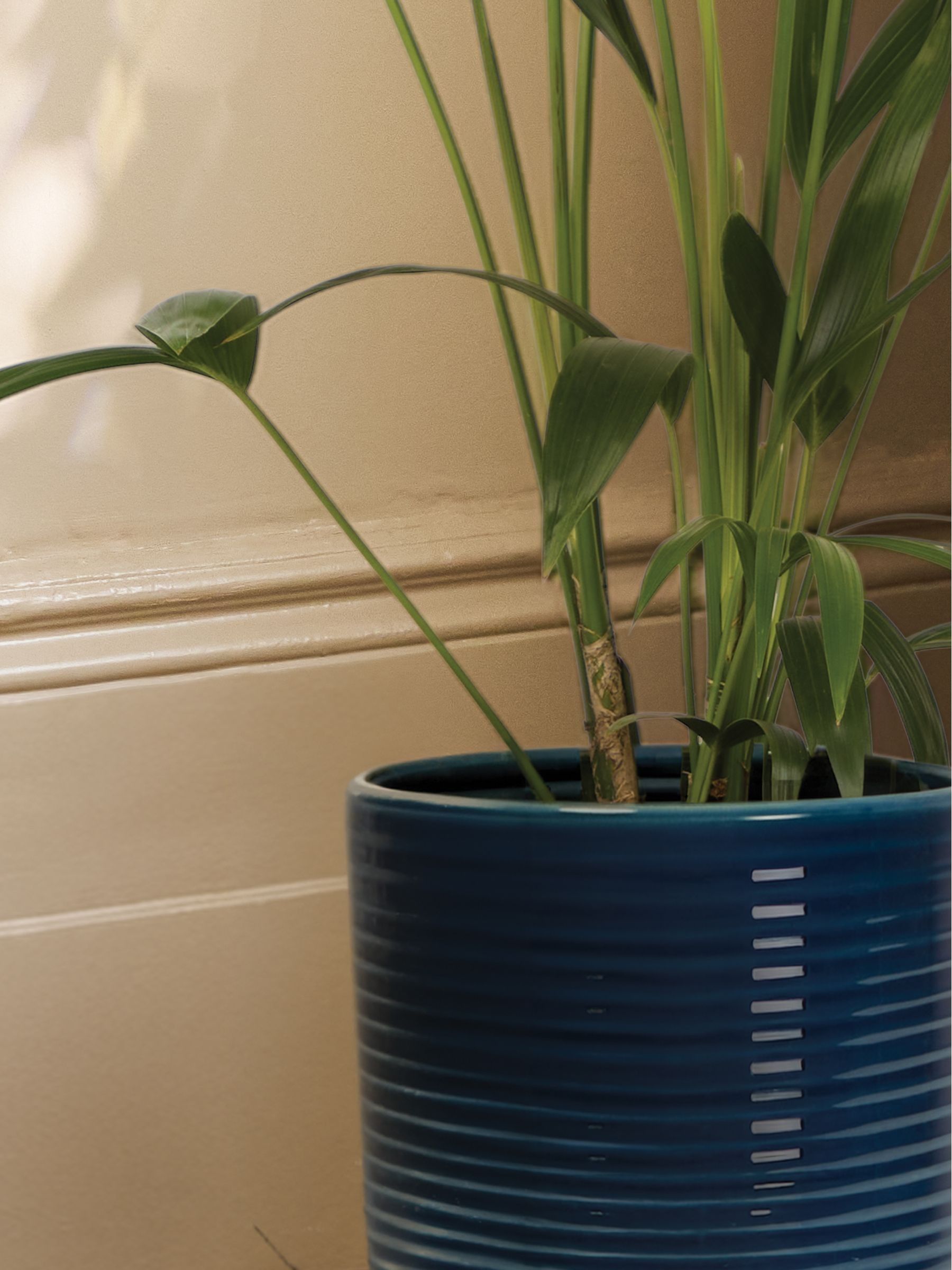 PATCH Blue Big Ken Palm Large In Ceramic Glazed Pot - Image 2 of 4
