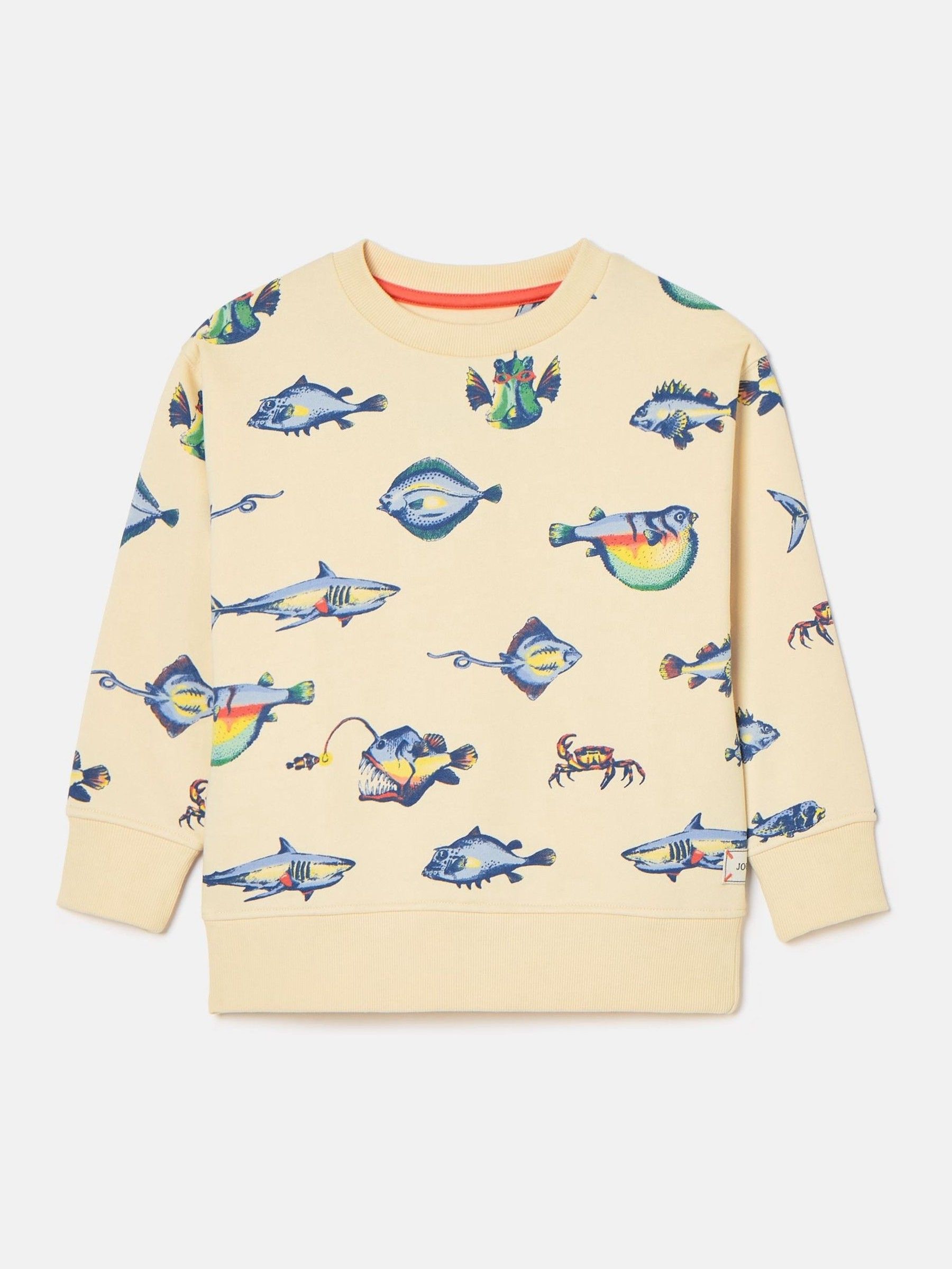 Boys' Sea Air Neutral Printed Sweatshirt - Image 1 of 5