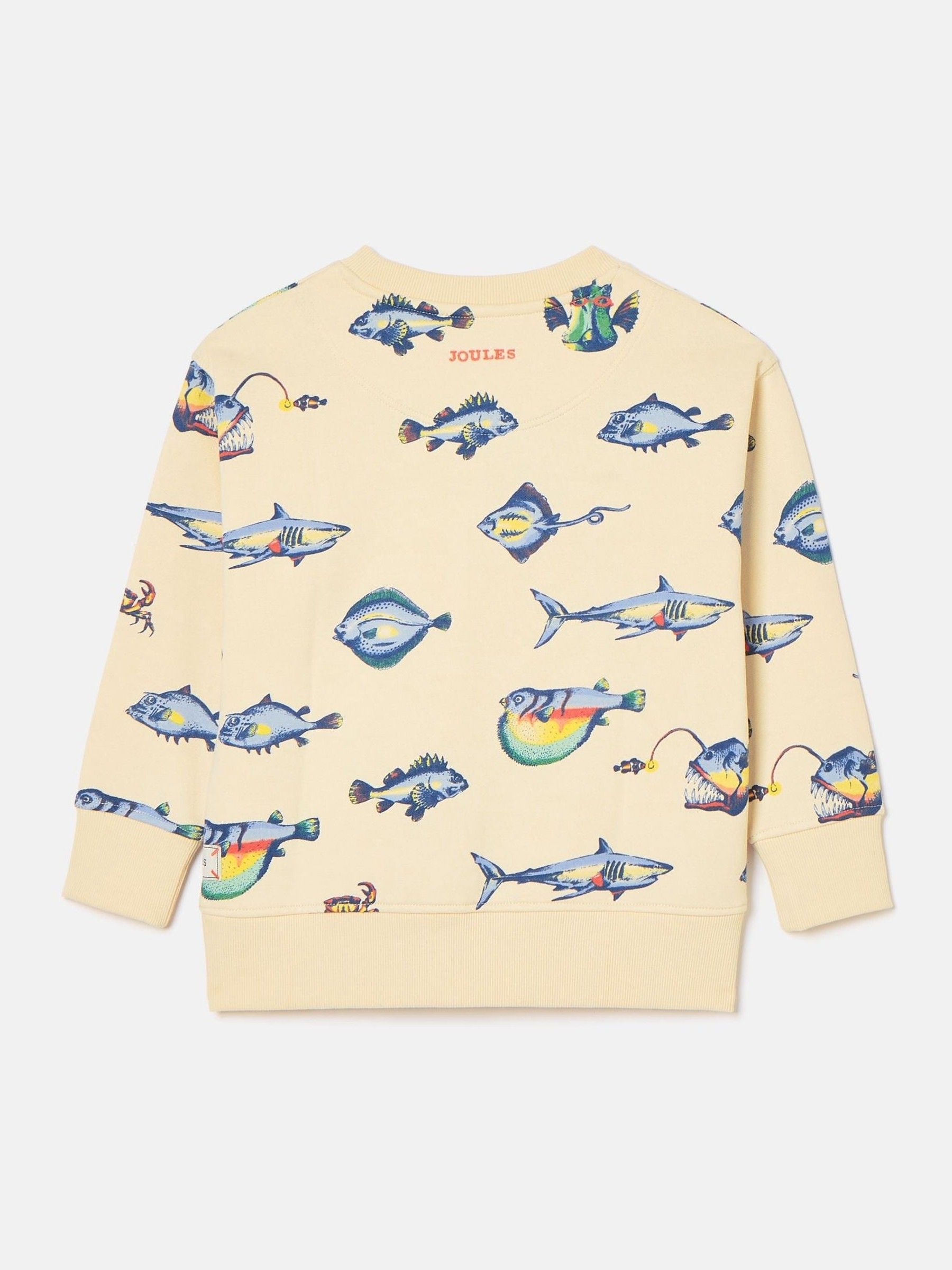 Boys' Sea Air Neutral Printed Sweatshirt - Image 2 of 5