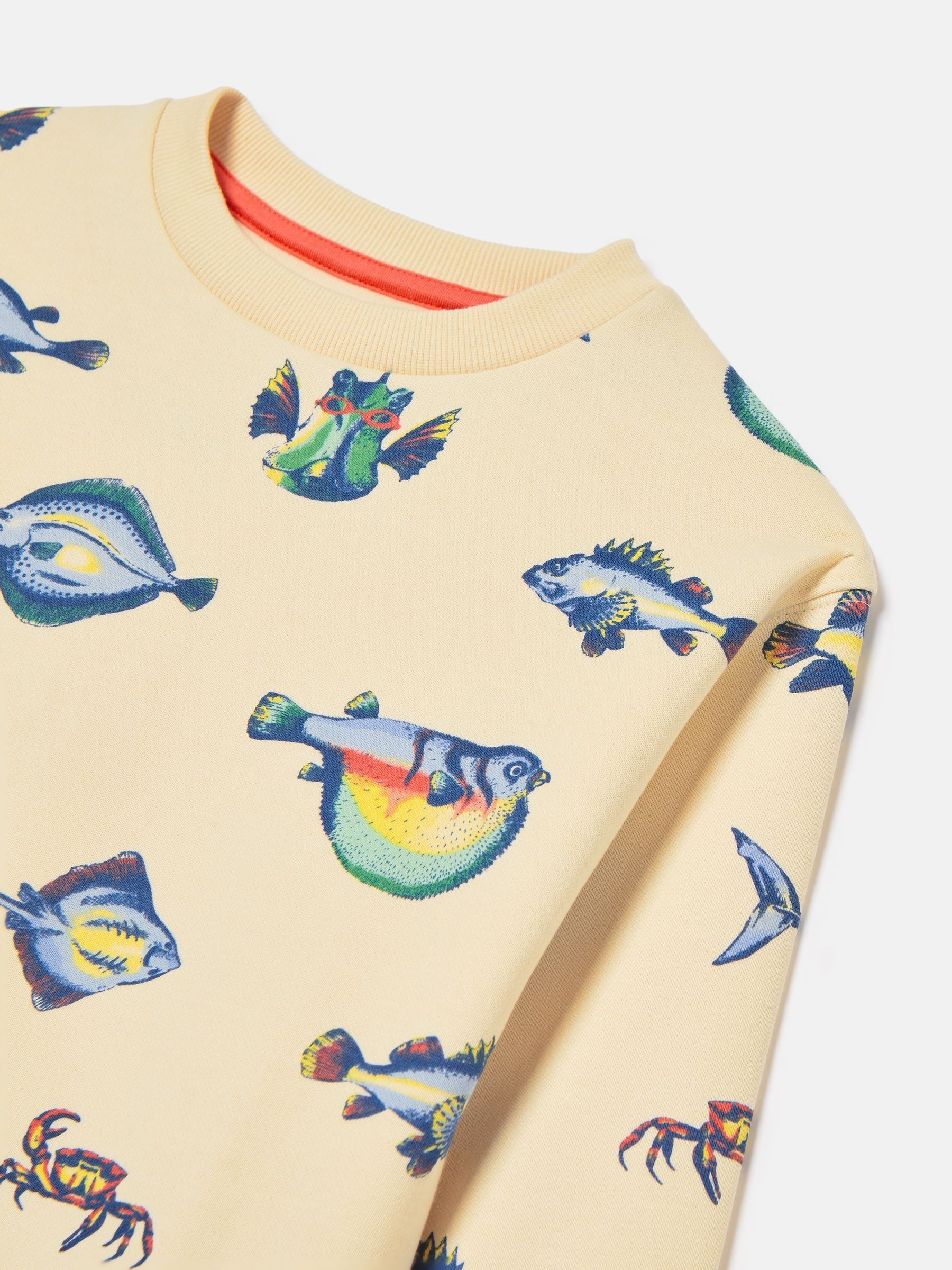 Boys' Sea Air Neutral Printed Sweatshirt - Image 3 of 5