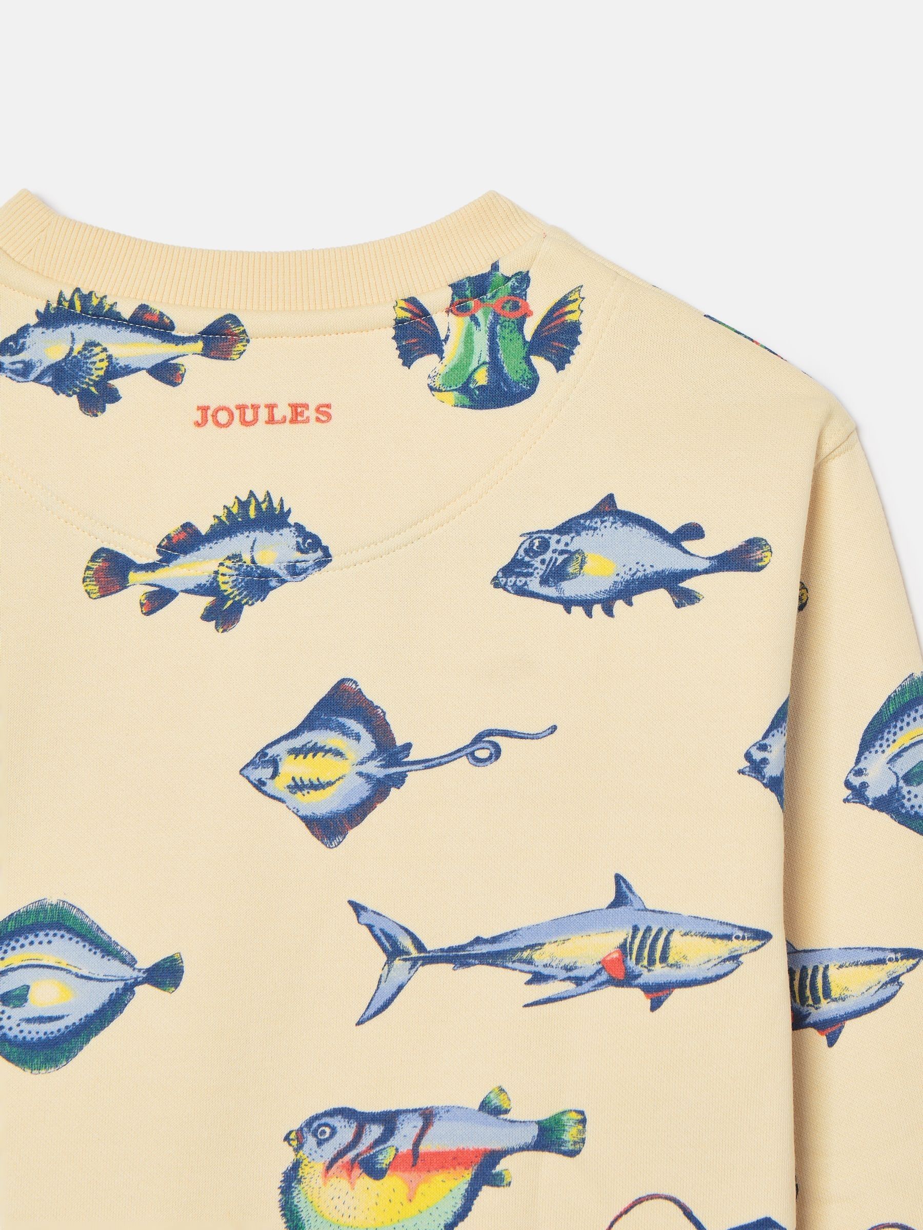 Boys' Sea Air Neutral Printed Sweatshirt - Image 4 of 5