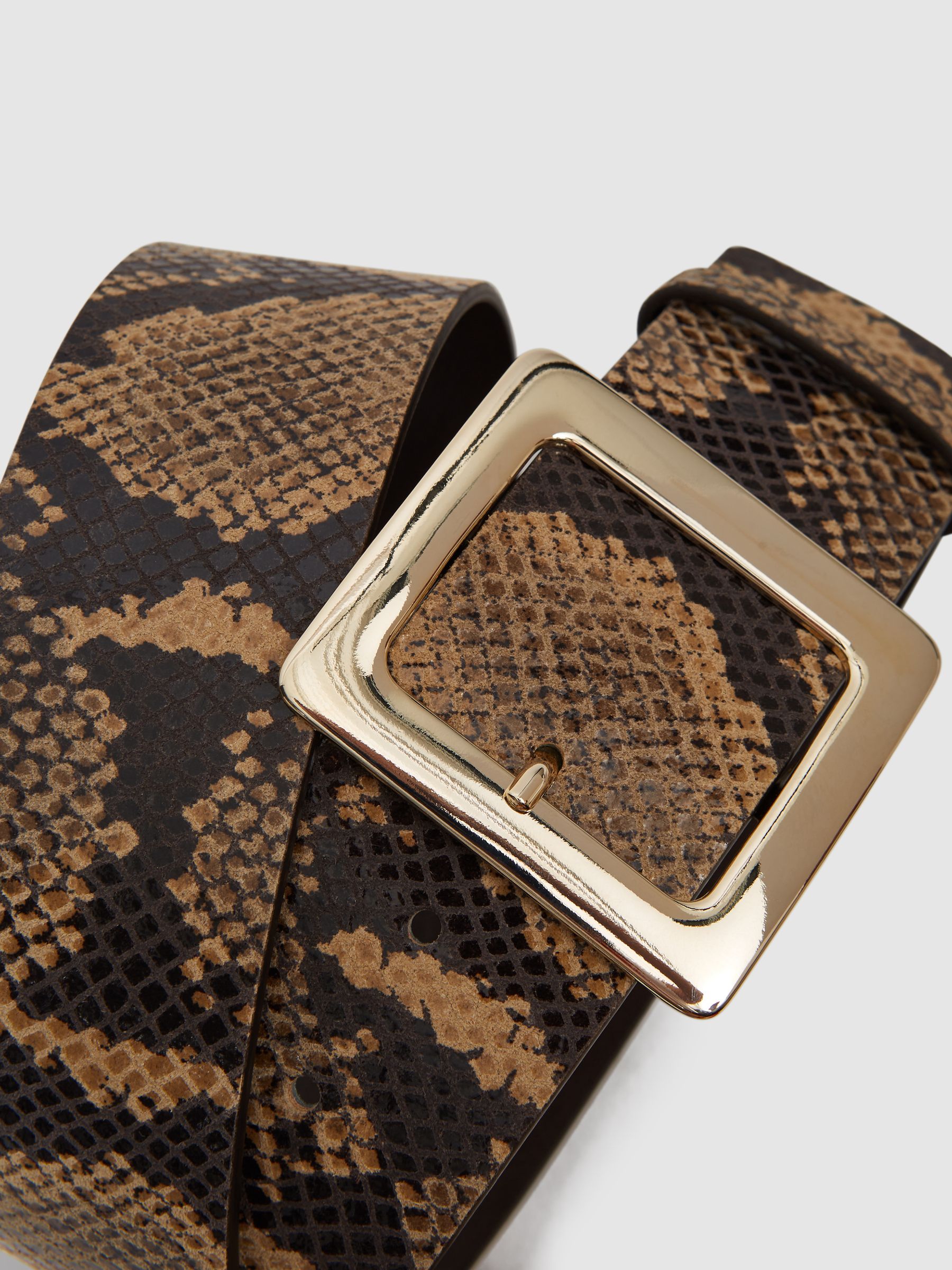Snake Print Wide Waist Belt in Natural - Image 4 of 6