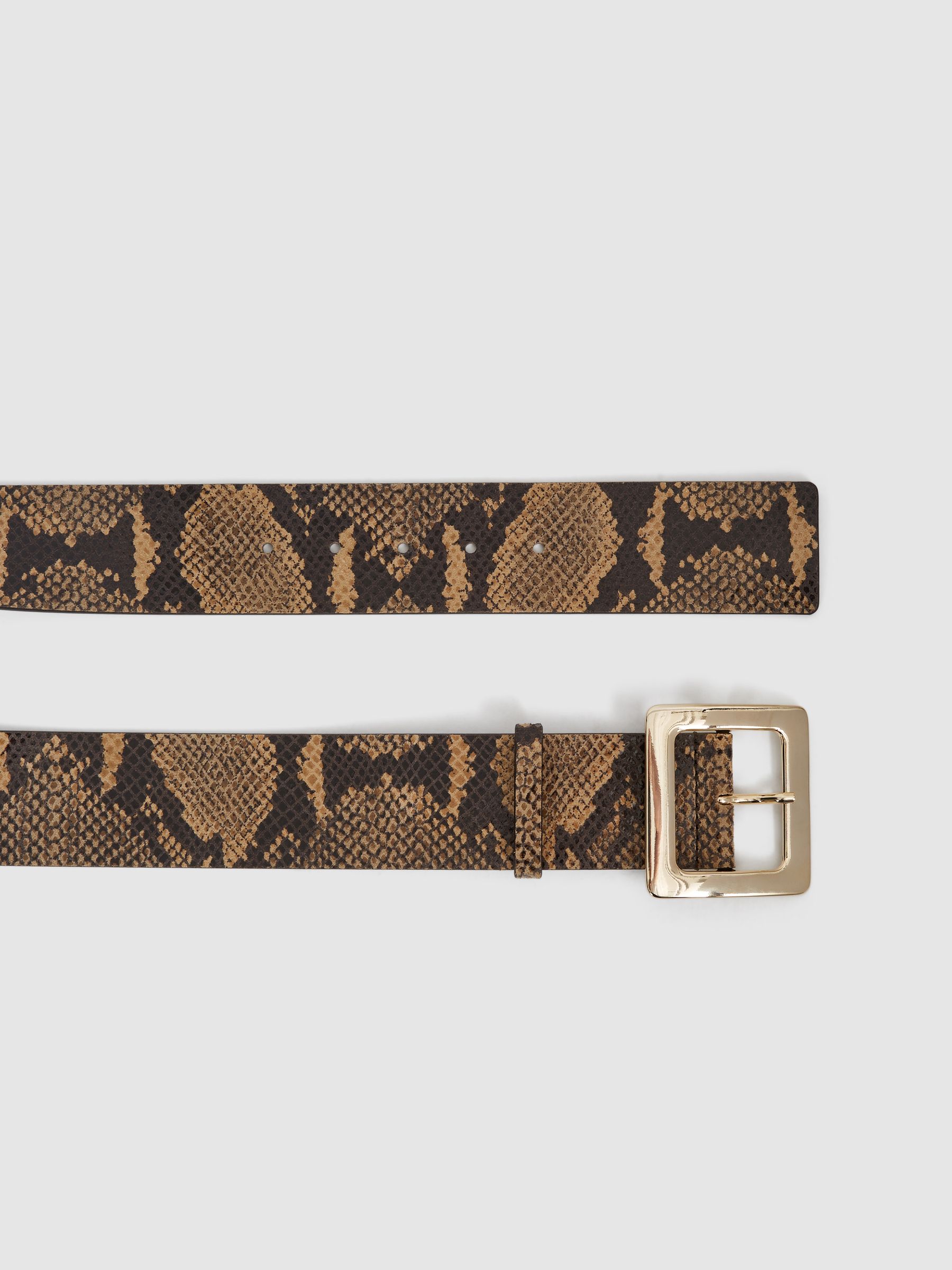 Snake Print Wide Waist Belt in Natural - Image 5 of 6