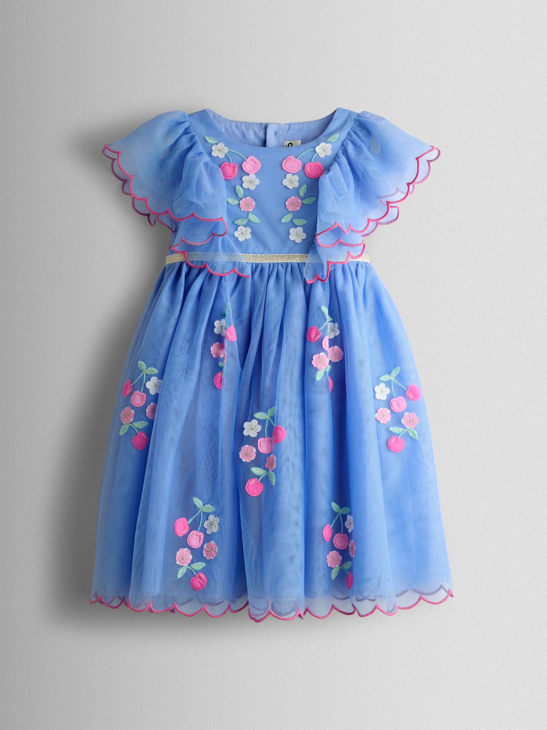 Cornflower Blue Floral And Cherry Appliqué Tulle Party Dress - Image 1 of 3