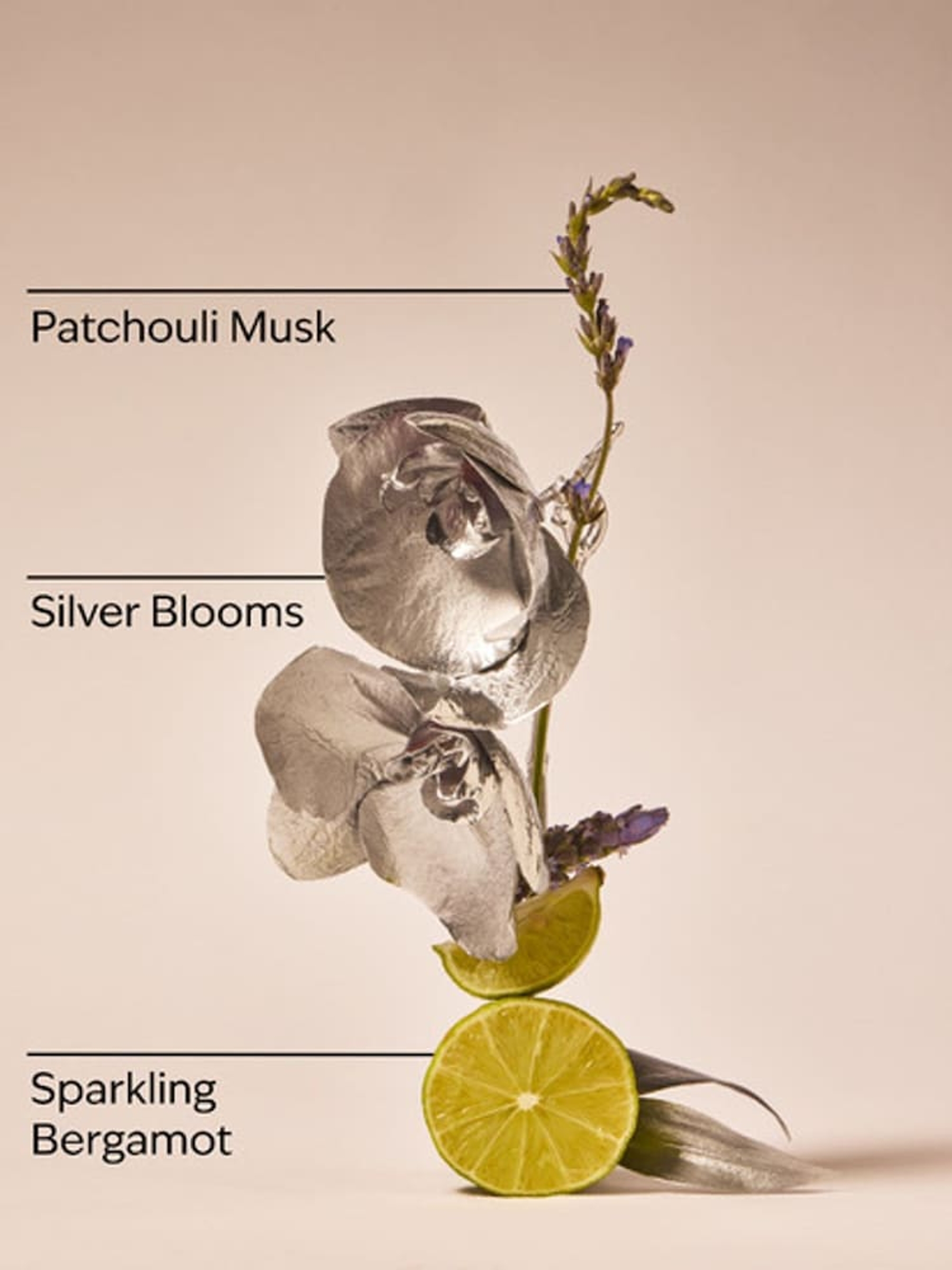 Platinum Diamond Shimmer Mist 145ml - Image 2 of 2 Platinum Diamond Shimmer Mist 145ml - Image 2 of 2