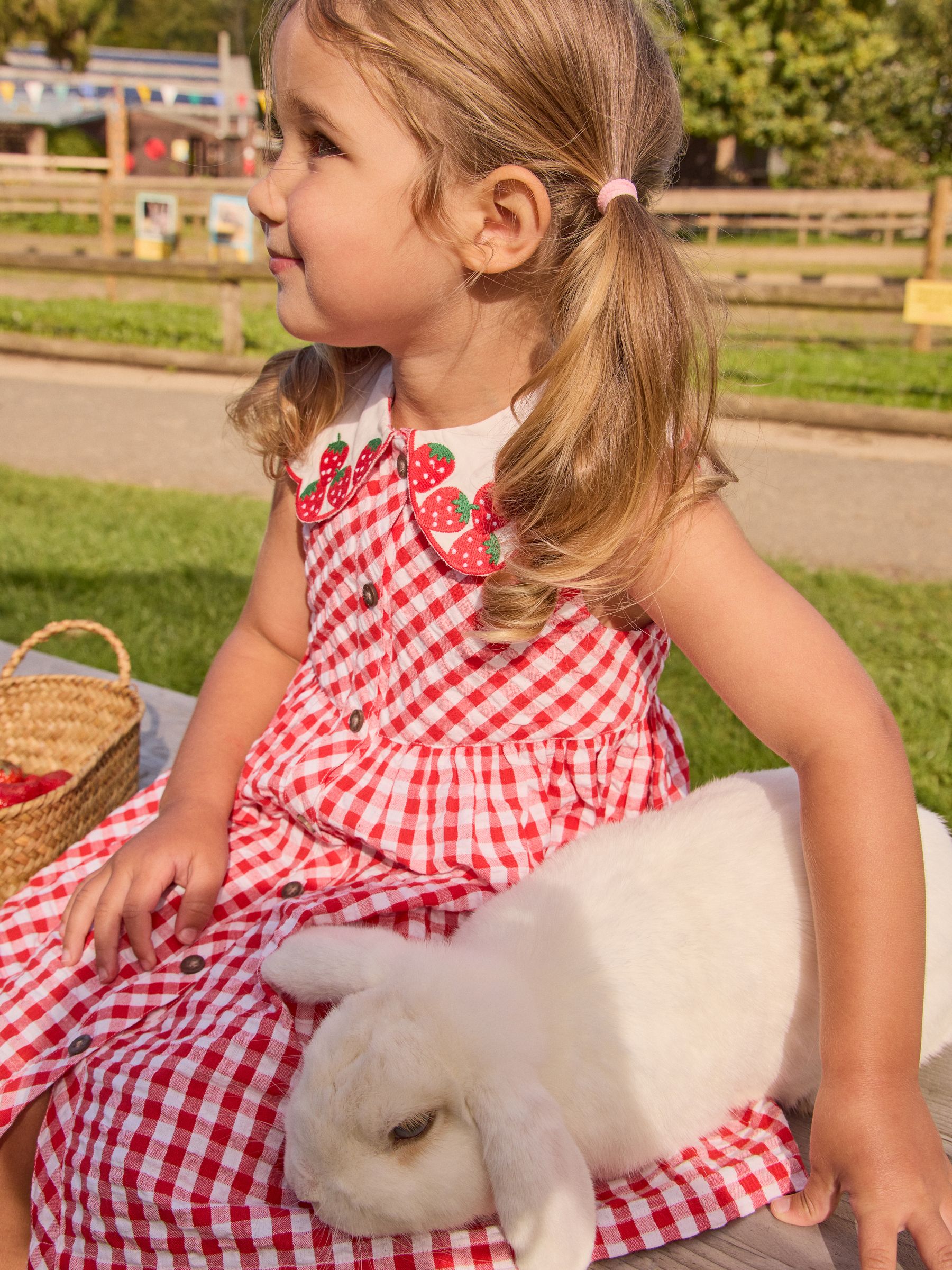 Red Collared Sleeveless Button Through Dress - Image 1 of 1