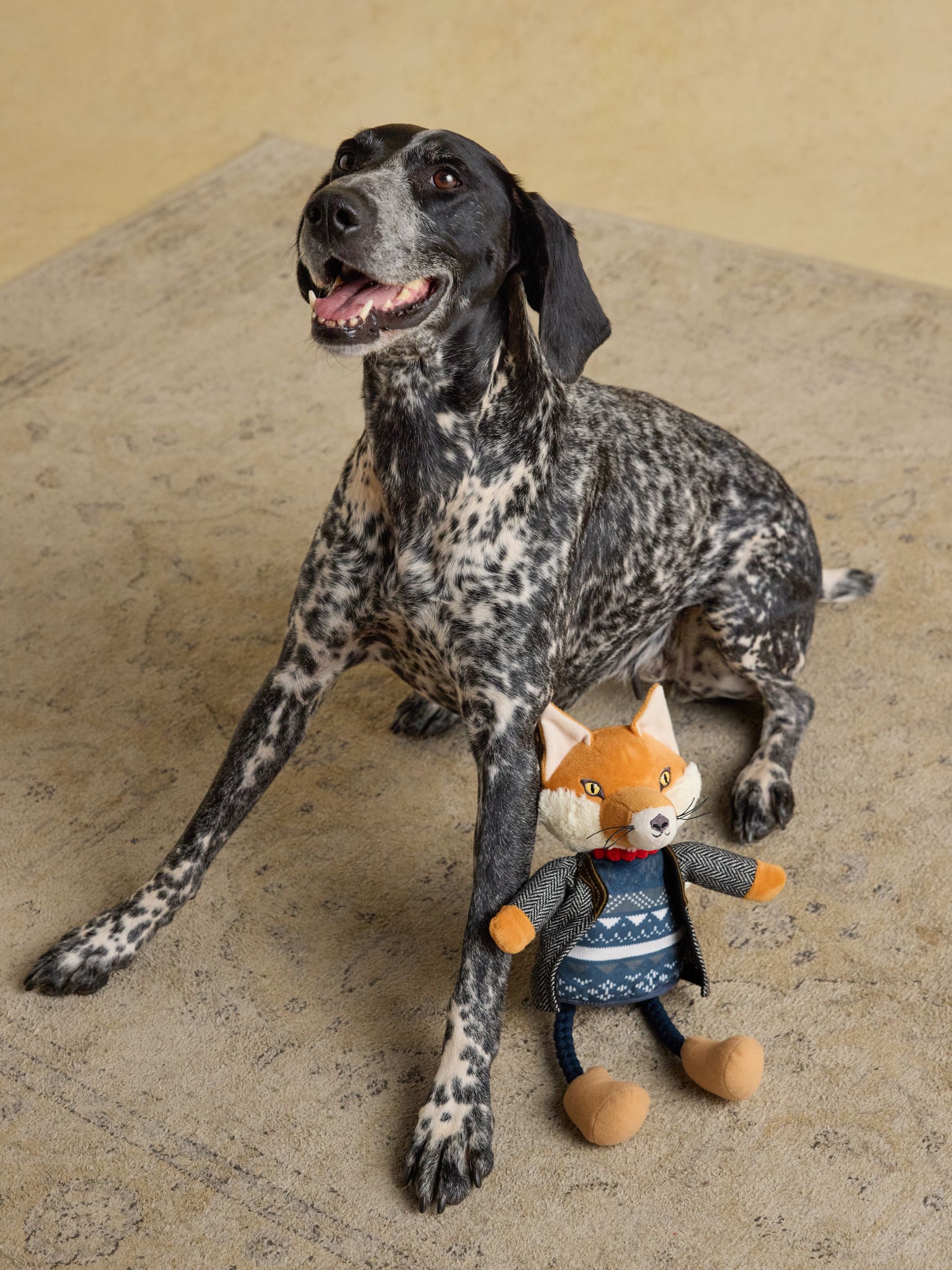 Tweed Jonty Fox Tweed Pet Toy - Image 2 of 5 Tweed Jonty Fox Tweed Pet Toy - Image 2 of 5