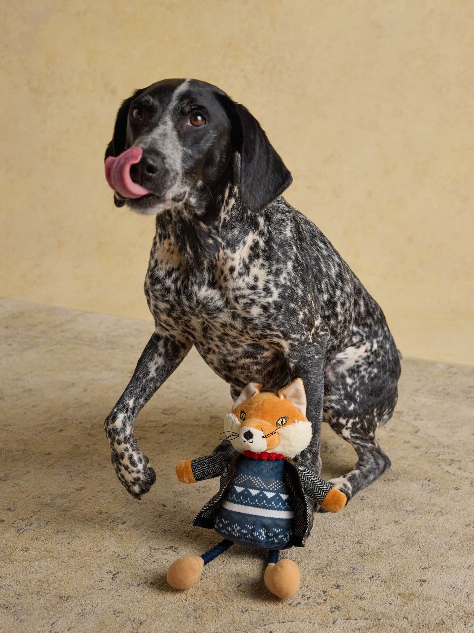 Tweed Jonty Fox Tweed Pet Toy - Image 3 of 5