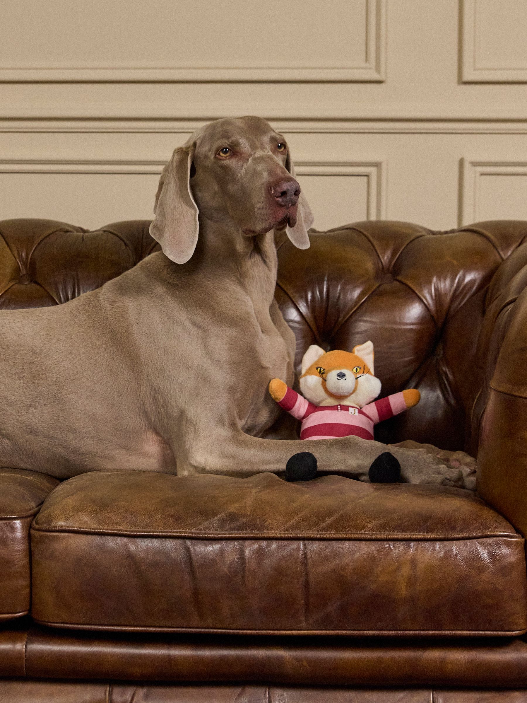 Rugby Jonty Fox Rugby Pet Toy - Image 1 of 6