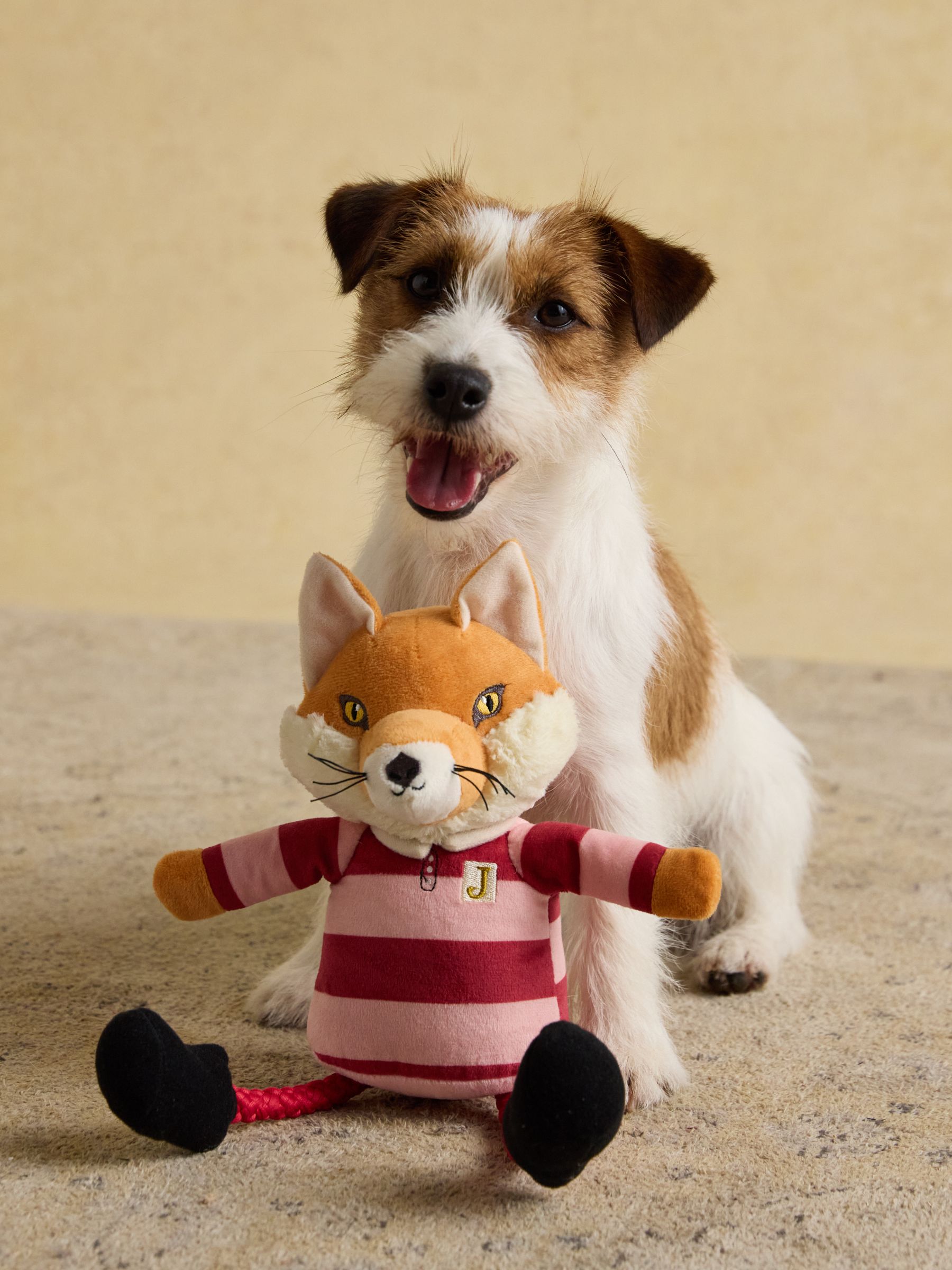 Rugby Jonty Fox Rugby Pet Toy - Image 2 of 6