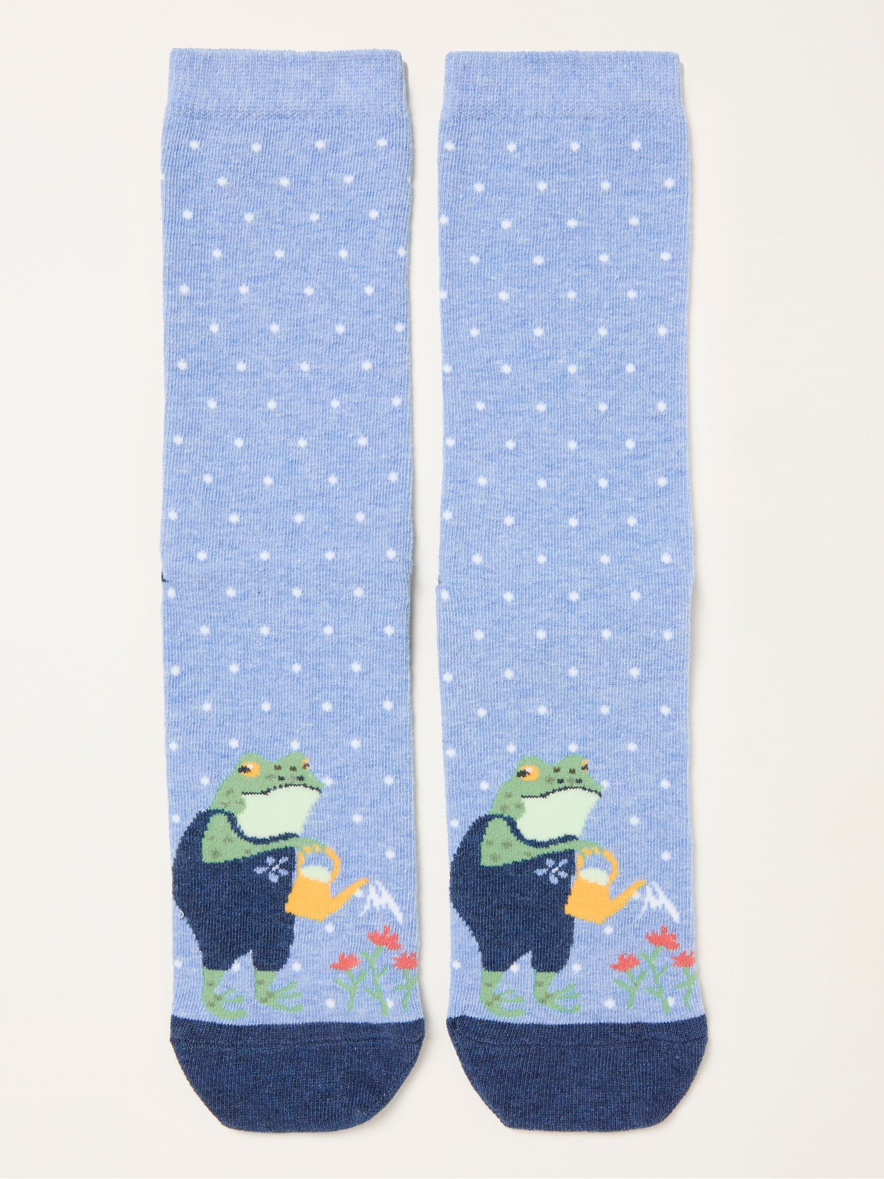 Blue Frog Socks - Image 1 of 2