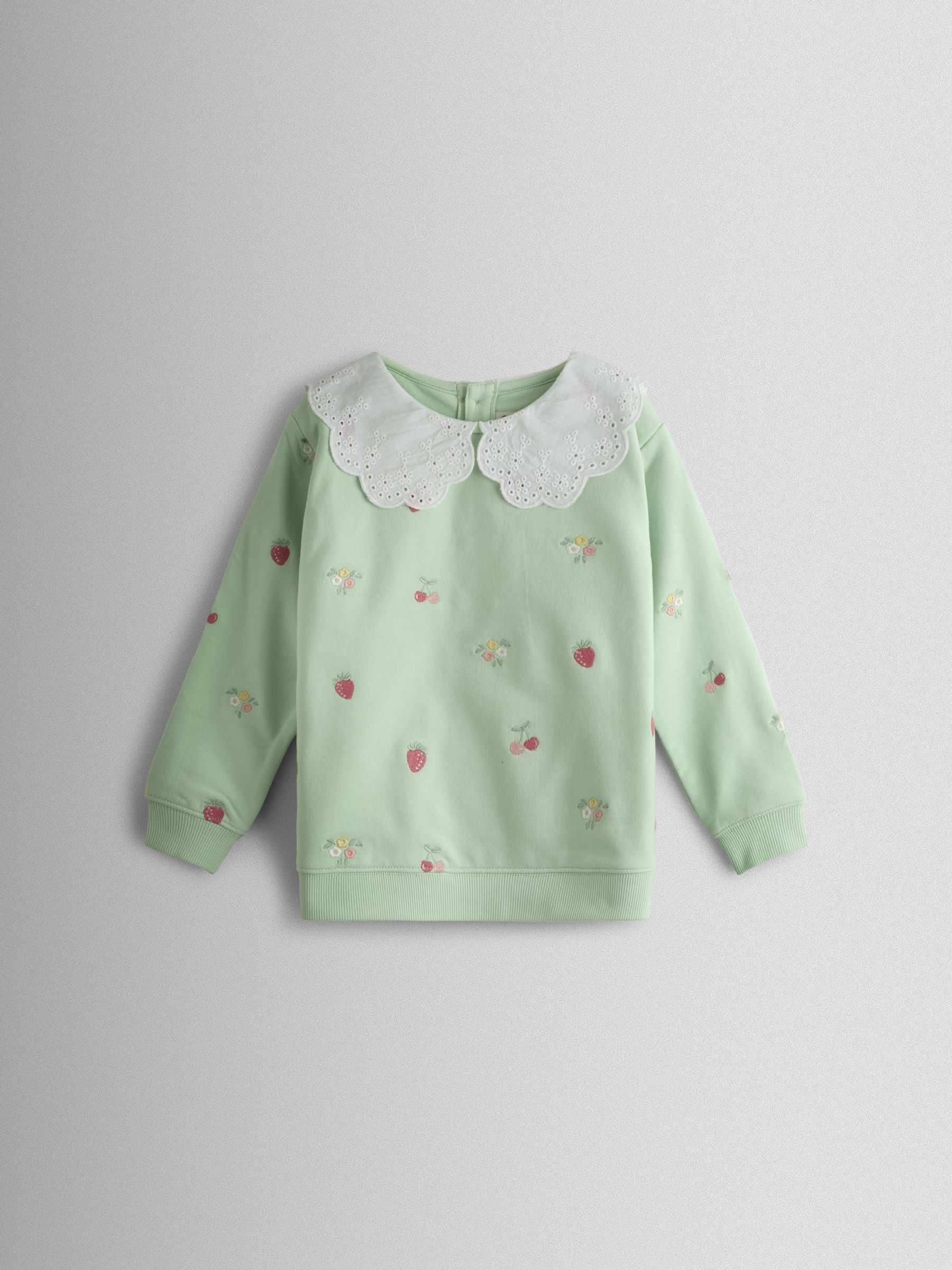 Sage Green Fruit & Floral Embroidered Sweatshirt - Image 1 of 3