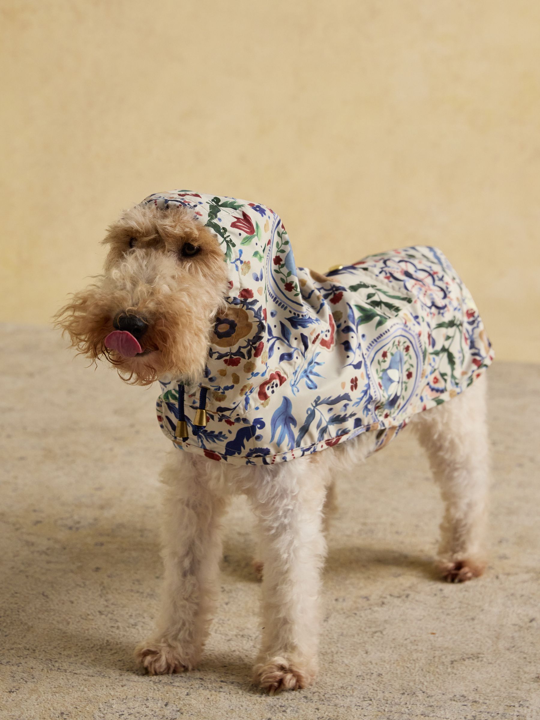 Festival Floral Packaway Dog Coat - Image 3 of 9