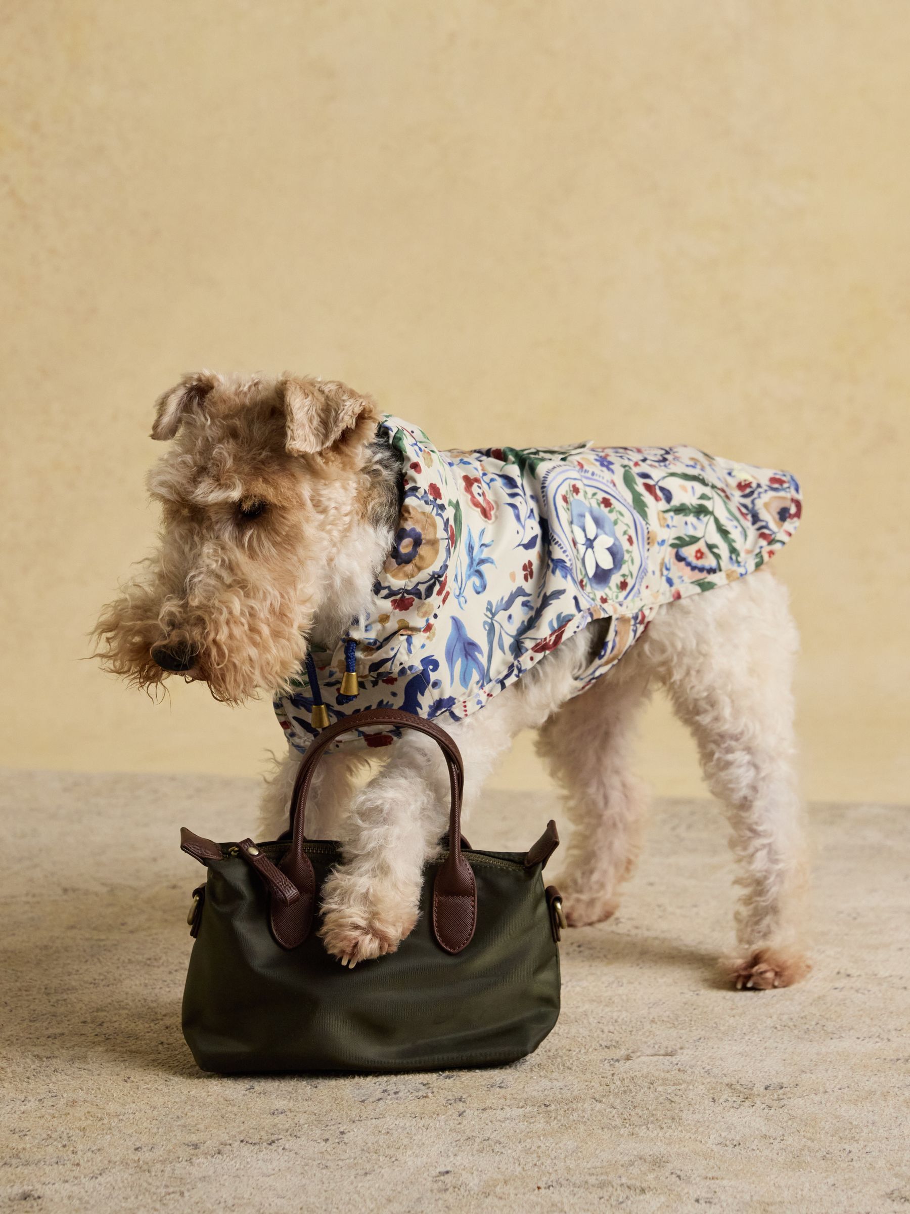 Festival Floral Packaway Dog Coat | Joules