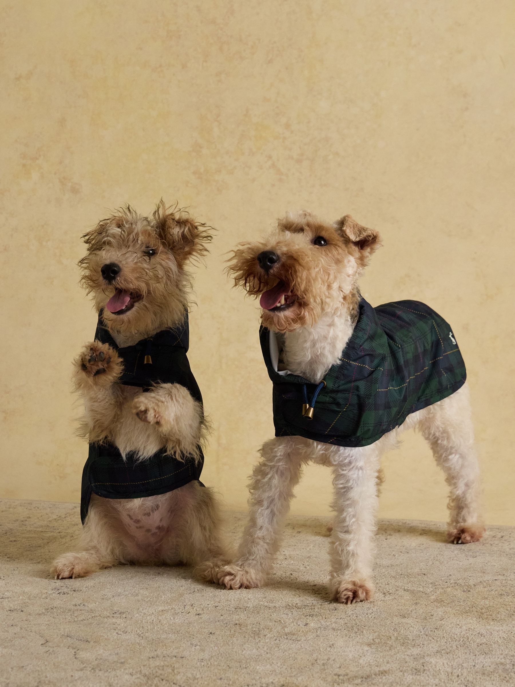 Blackwatch Check Packaway Dog Coat - Image 2 of 10