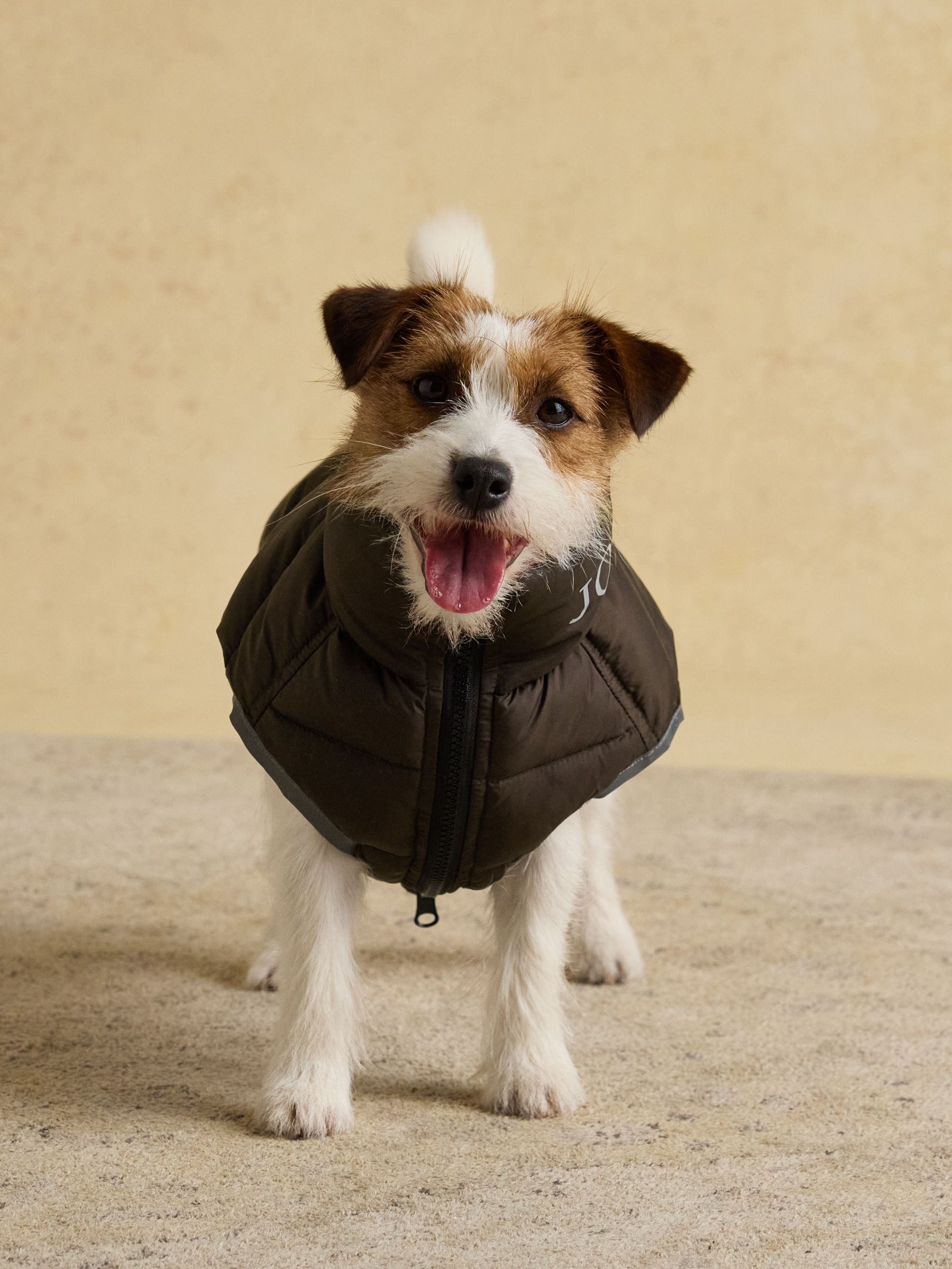 Orange & Brown Reversible Dog Puffer Jacket - Image 4 of 12