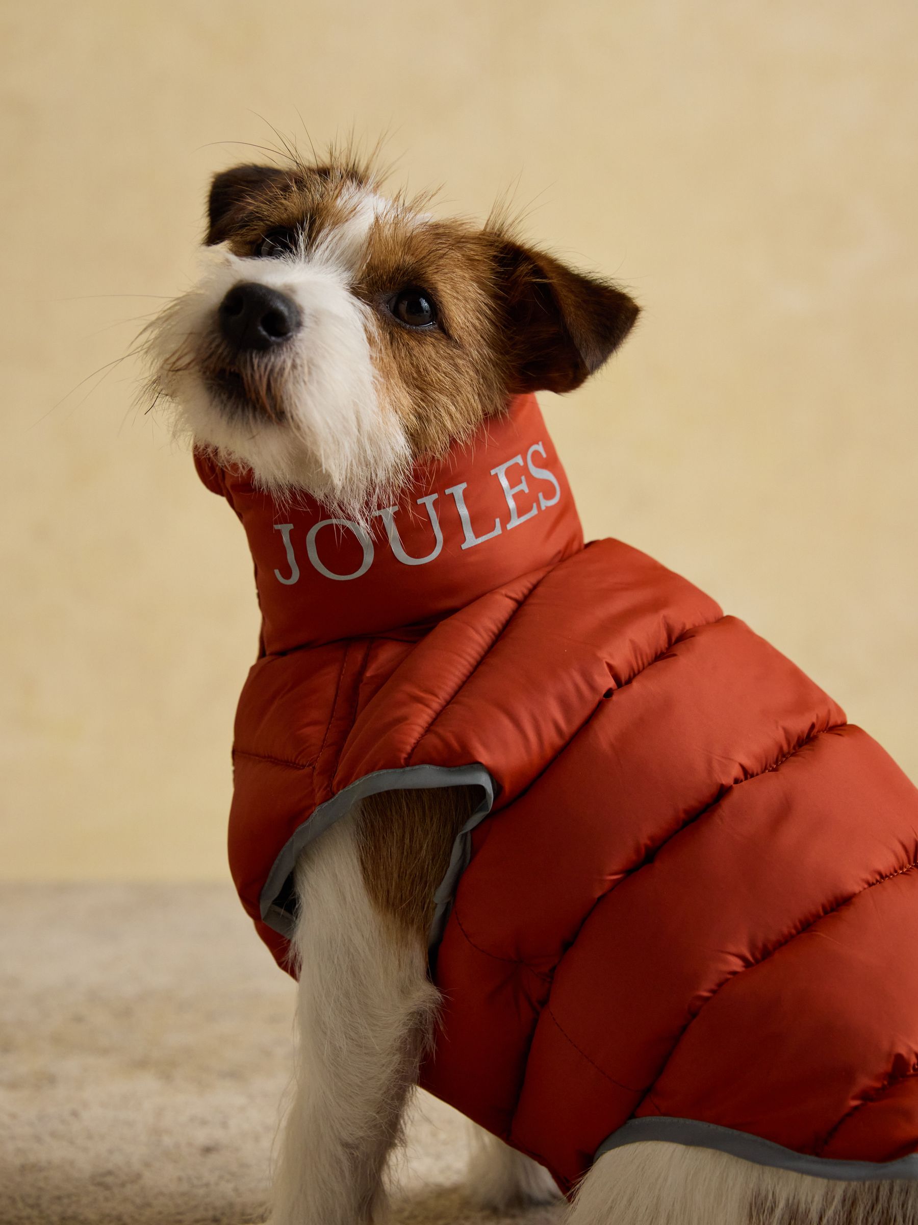 Orange & Brown Reversible Dog Puffer Jacket | Joules