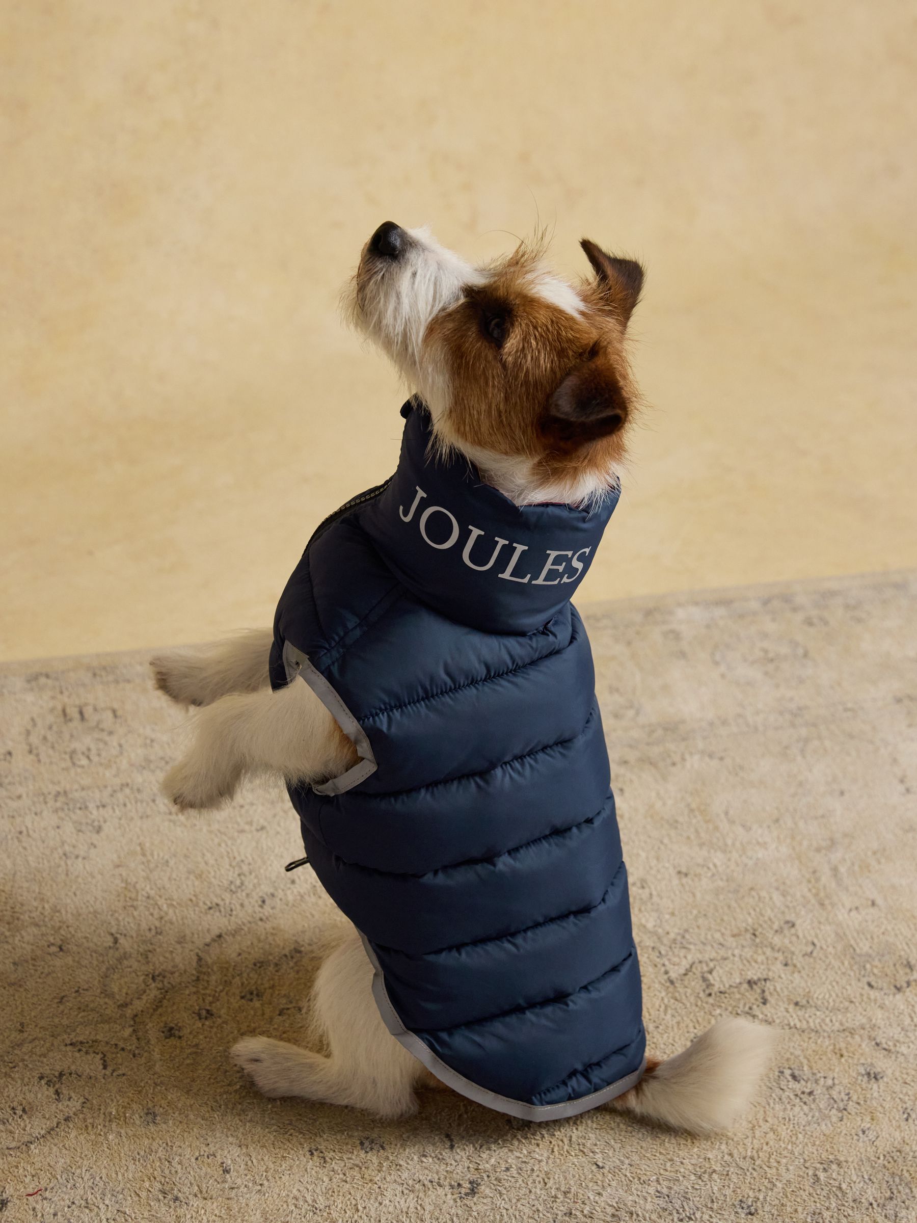 Navy & Burgundy Red Reversible Dog Puffer Jacket - Image 2 of 9 Navy & Burgundy Red Reversible Dog Puffer Jacket - Image 2 of 9