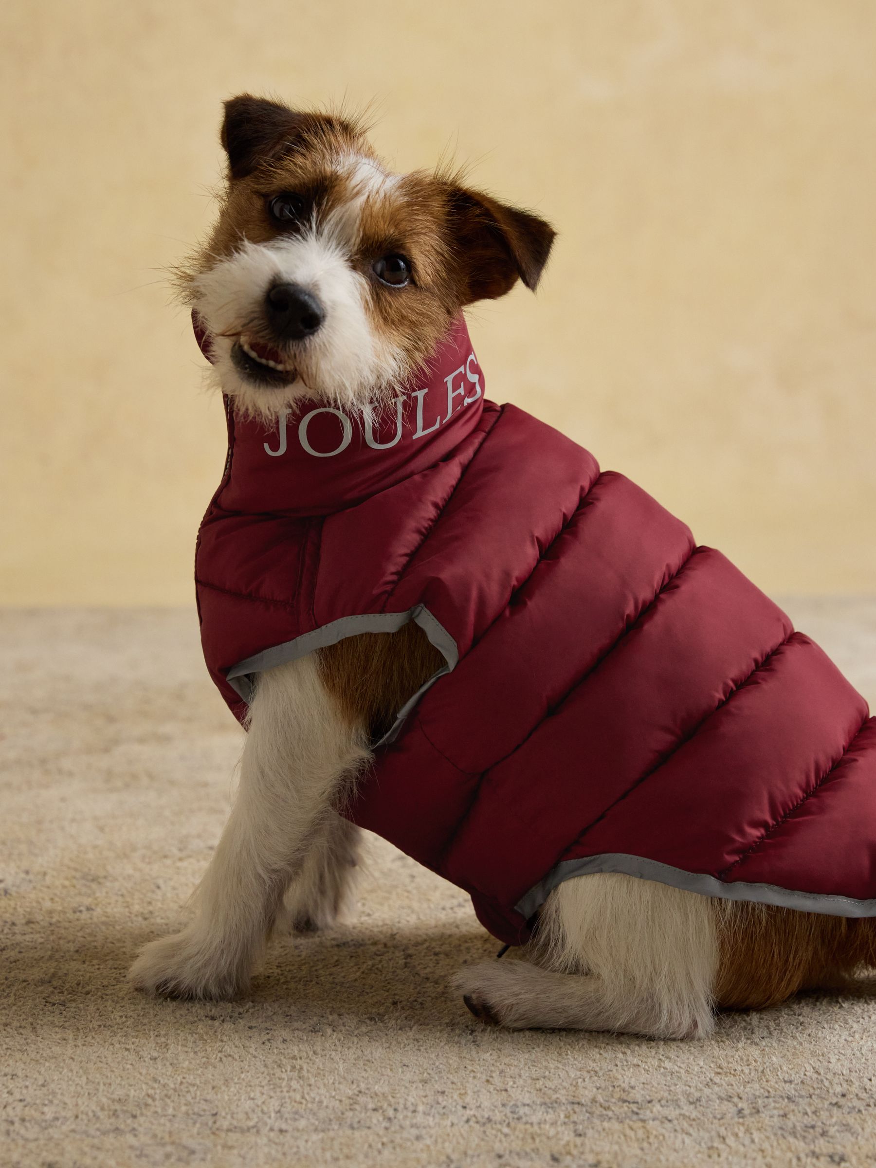 Navy & Burgundy Red Reversible Dog Puffer Jacket - Image 4 of 9