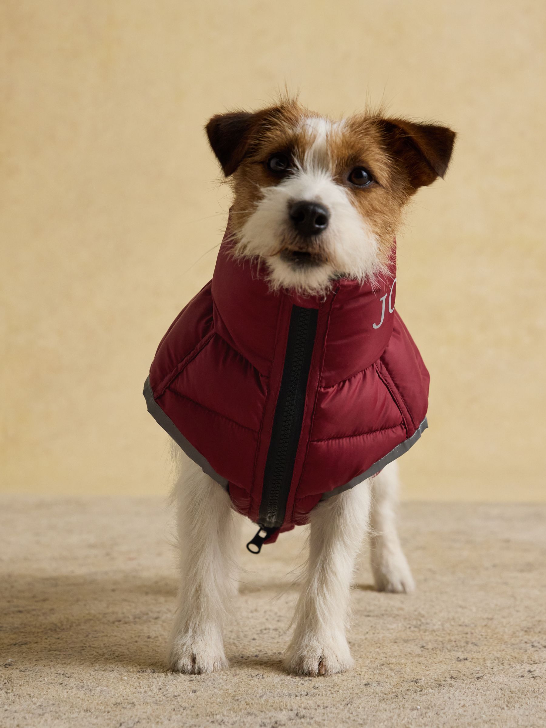 Navy & Burgundy Red Reversible Dog Puffer Jacket - Image 5 of 9