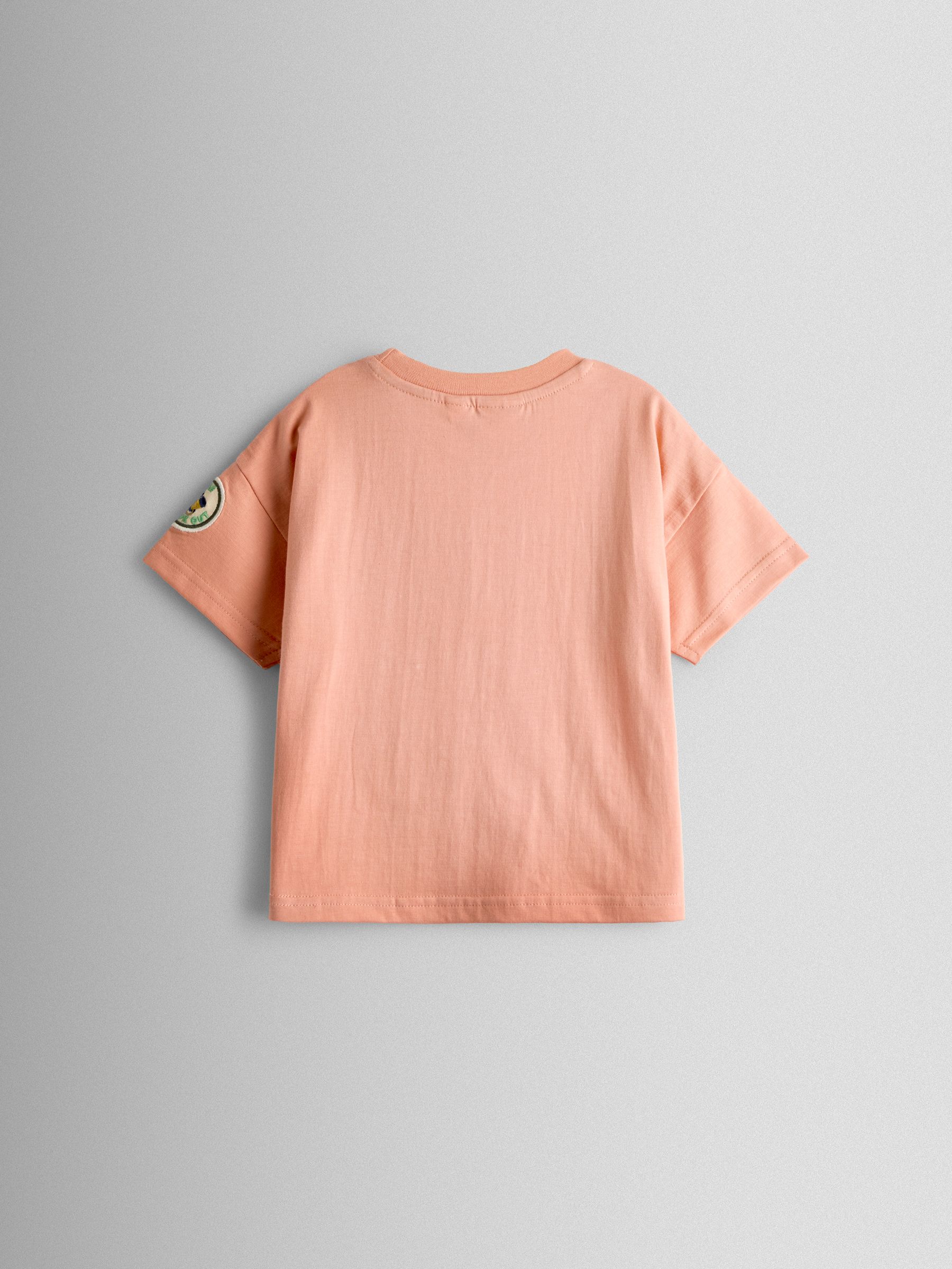 Coral Explorer Sardine Stripe Appliqué T-Shirt - Image 2 of 3