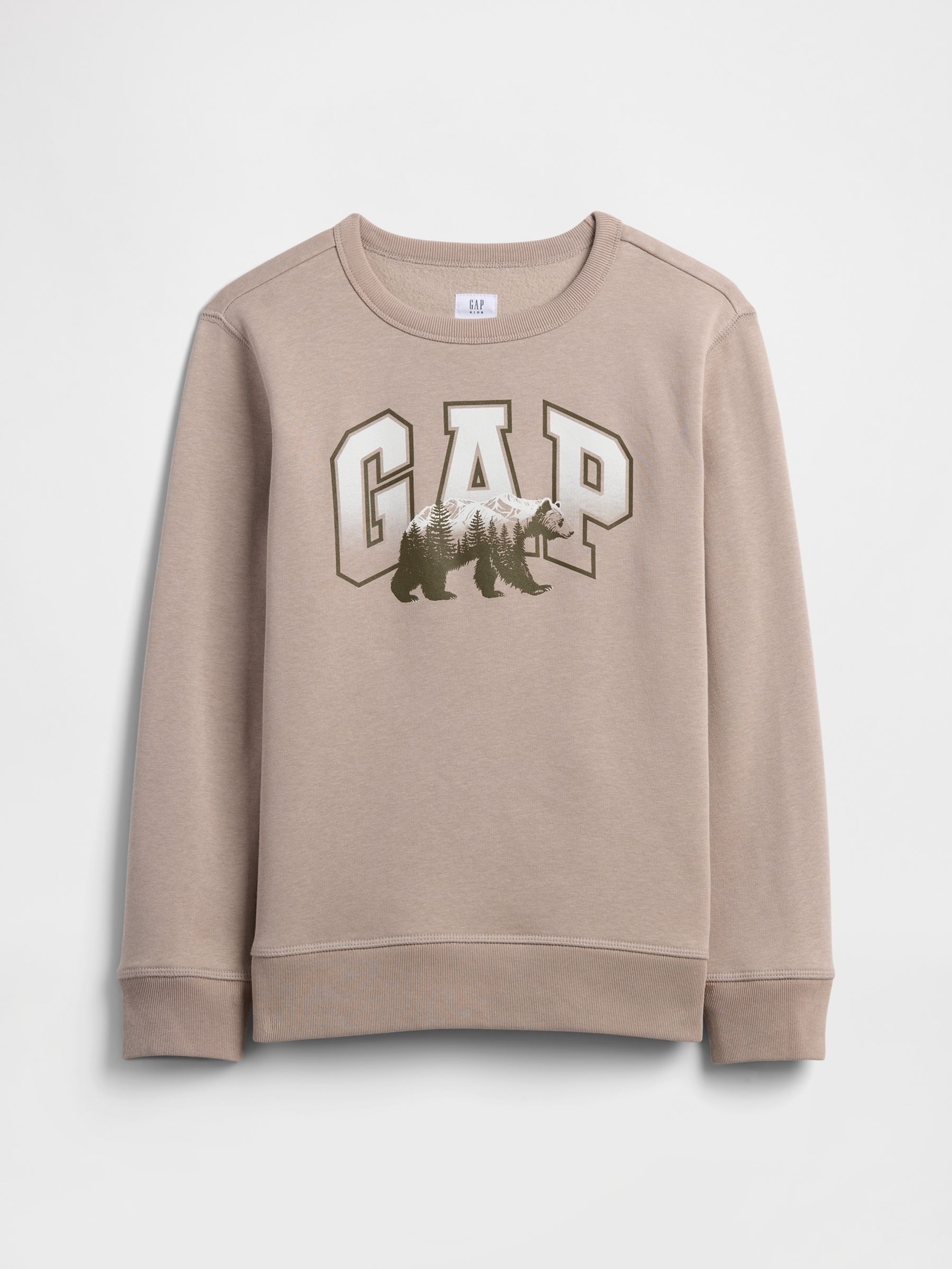 Beige Crew Neck Graphic Sweatshirt (4-13yrs) - Image 1 of 3 Beige Crew Neck Graphic Sweatshirt (4-13yrs) - Image 1 of 3