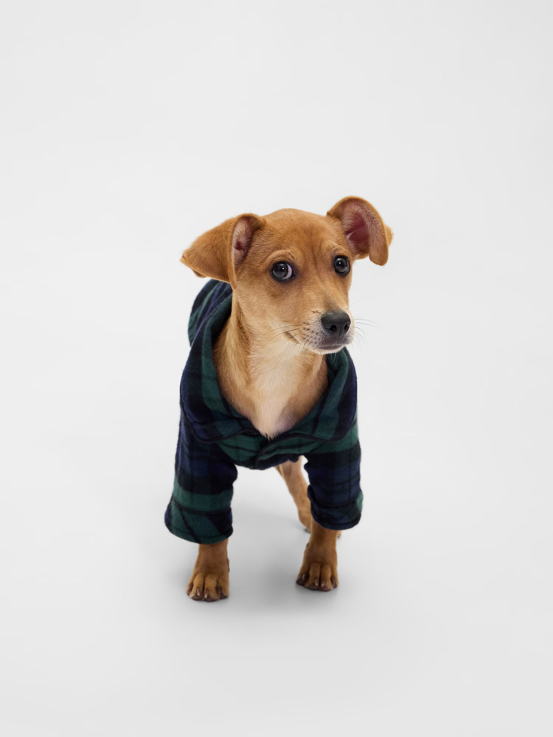 Green Matching Family Christmas Pet Pyjamas - Image 3 of 4