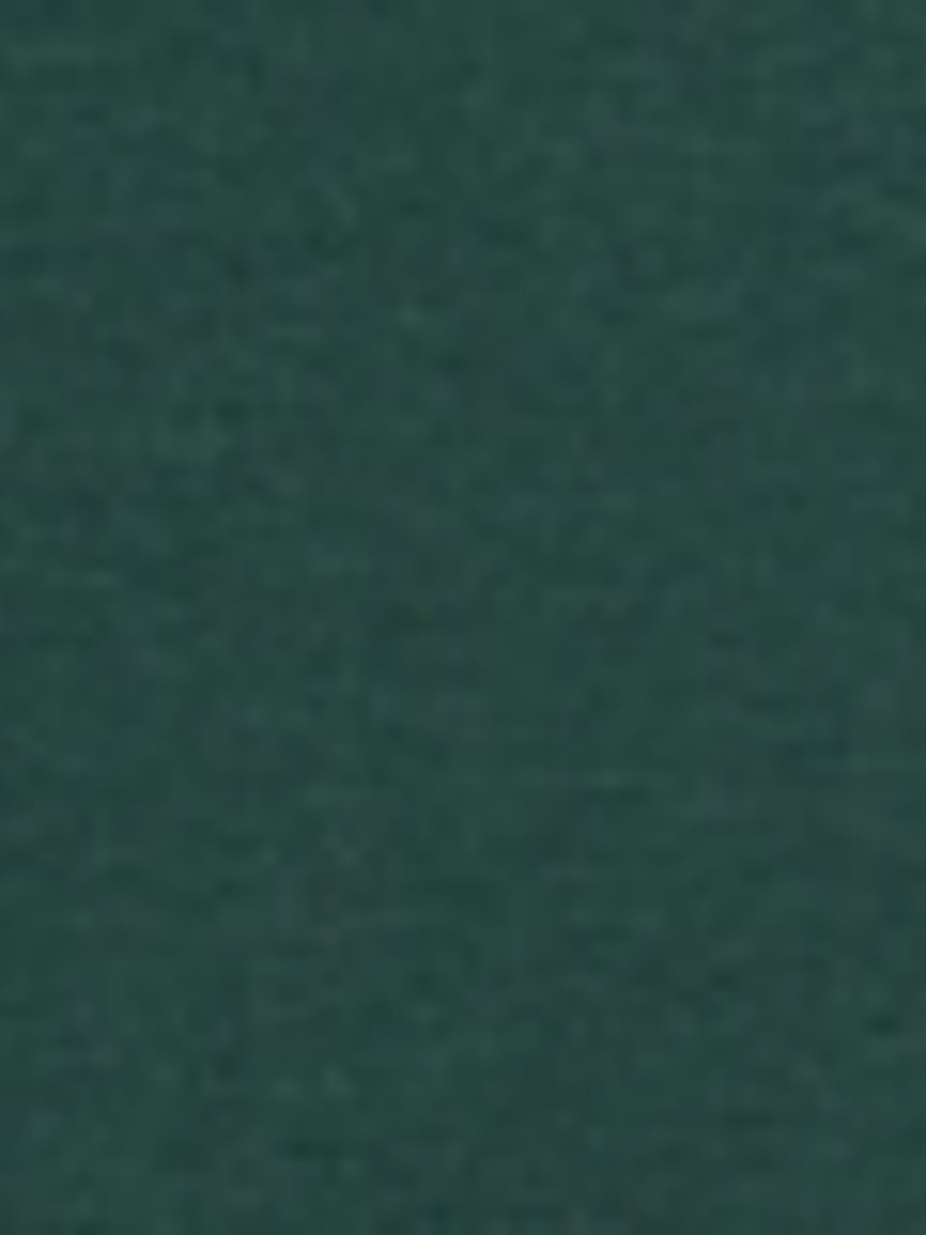 Green Featherweight Turtleneck T-Shirt - Image 2 of 2