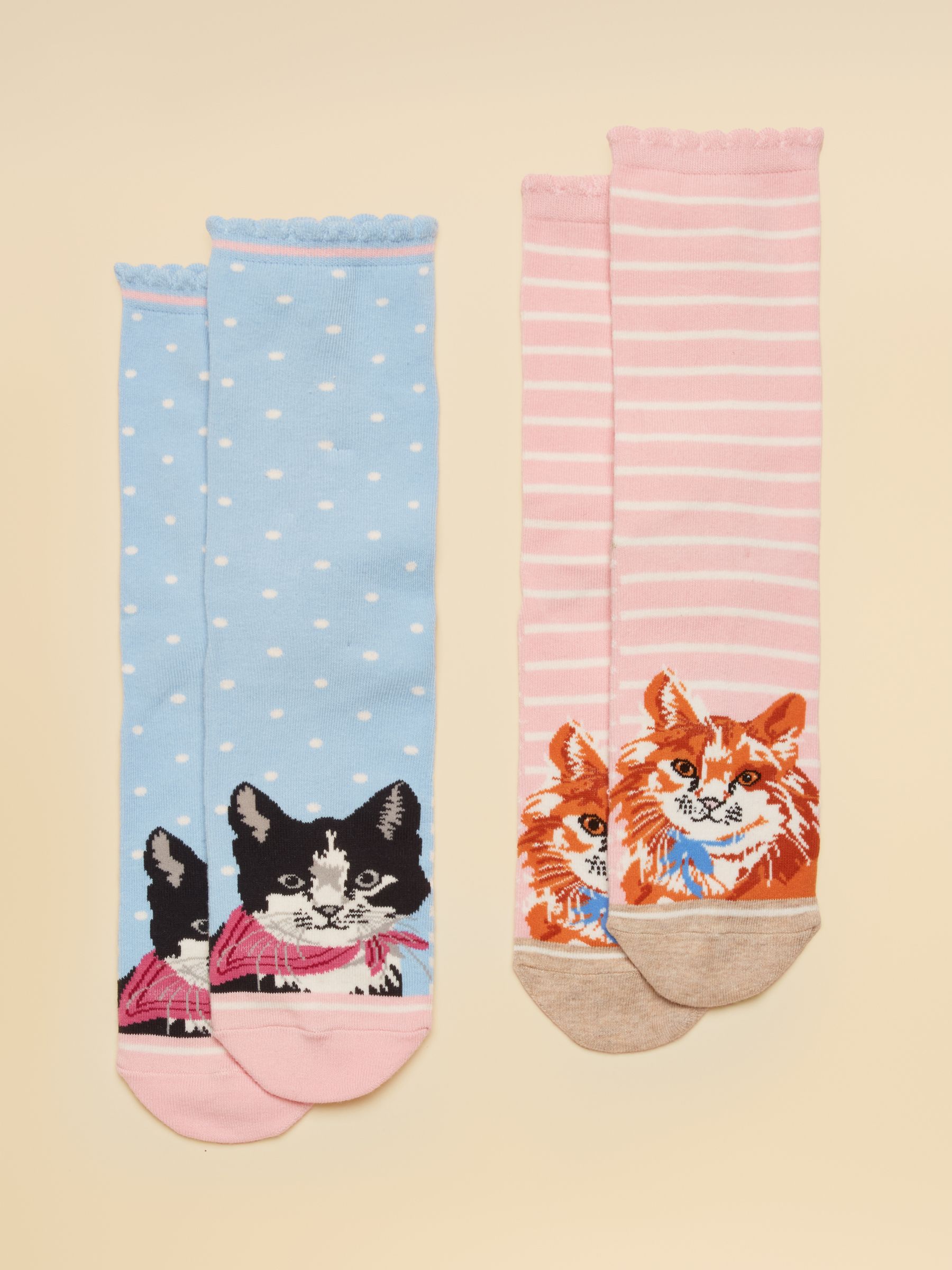 Women's Everyday Light Blue & Pink Cats Cotton Blend Socks 2 Pack (size 4-8) - Image 1 of 3