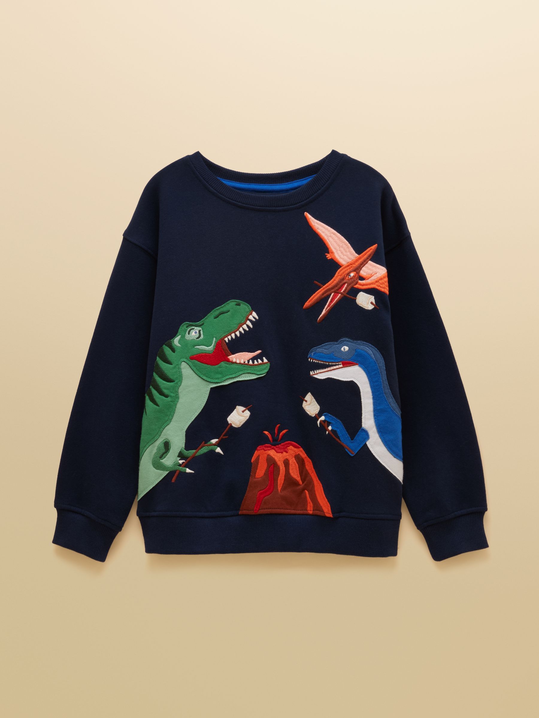 Kids' Hudson Navy Dino Applique Sweatshirt - Image 1 of 4