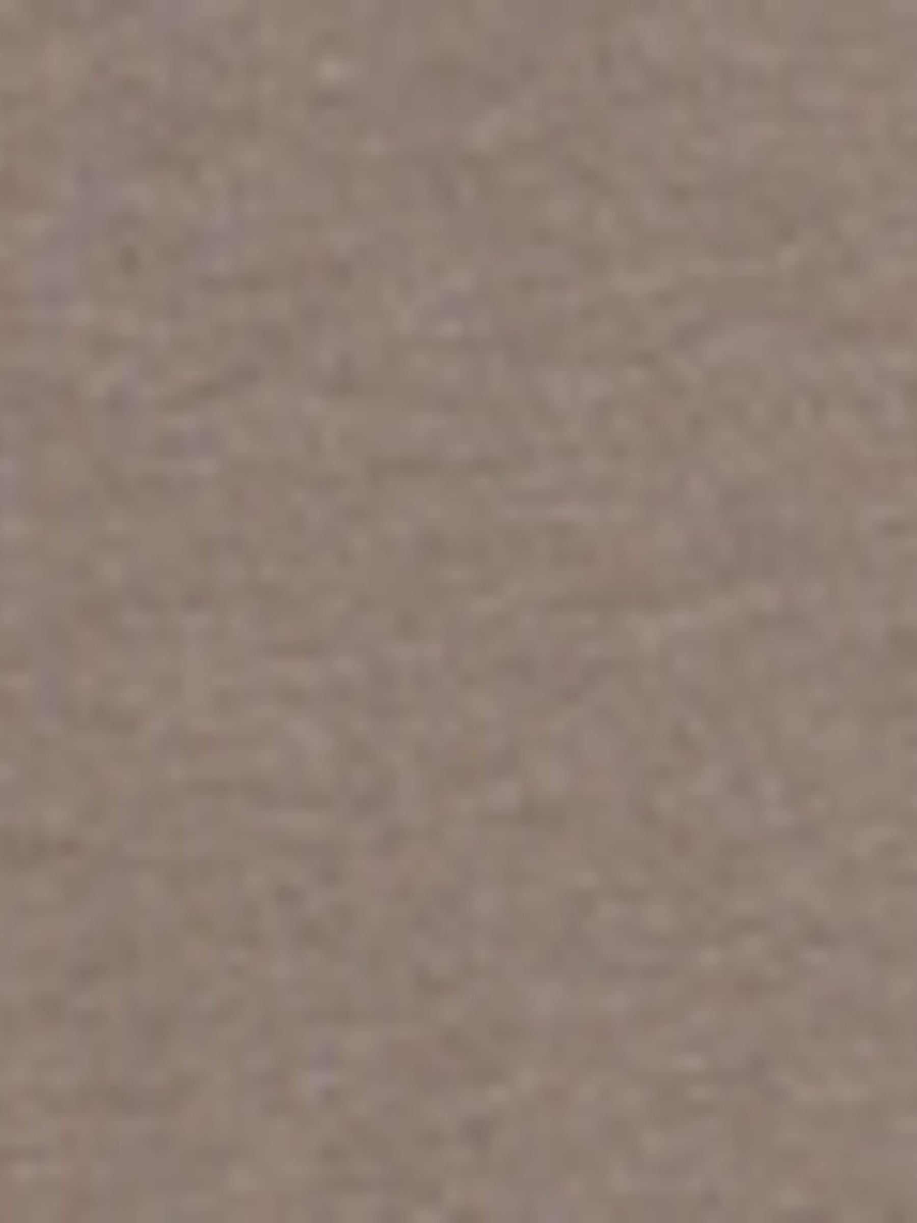 Brown Featherweight Crew Neck T-Shirt - Image 3 of 3 Brown Featherweight Crew Neck T-Shirt - Image 3 of 3