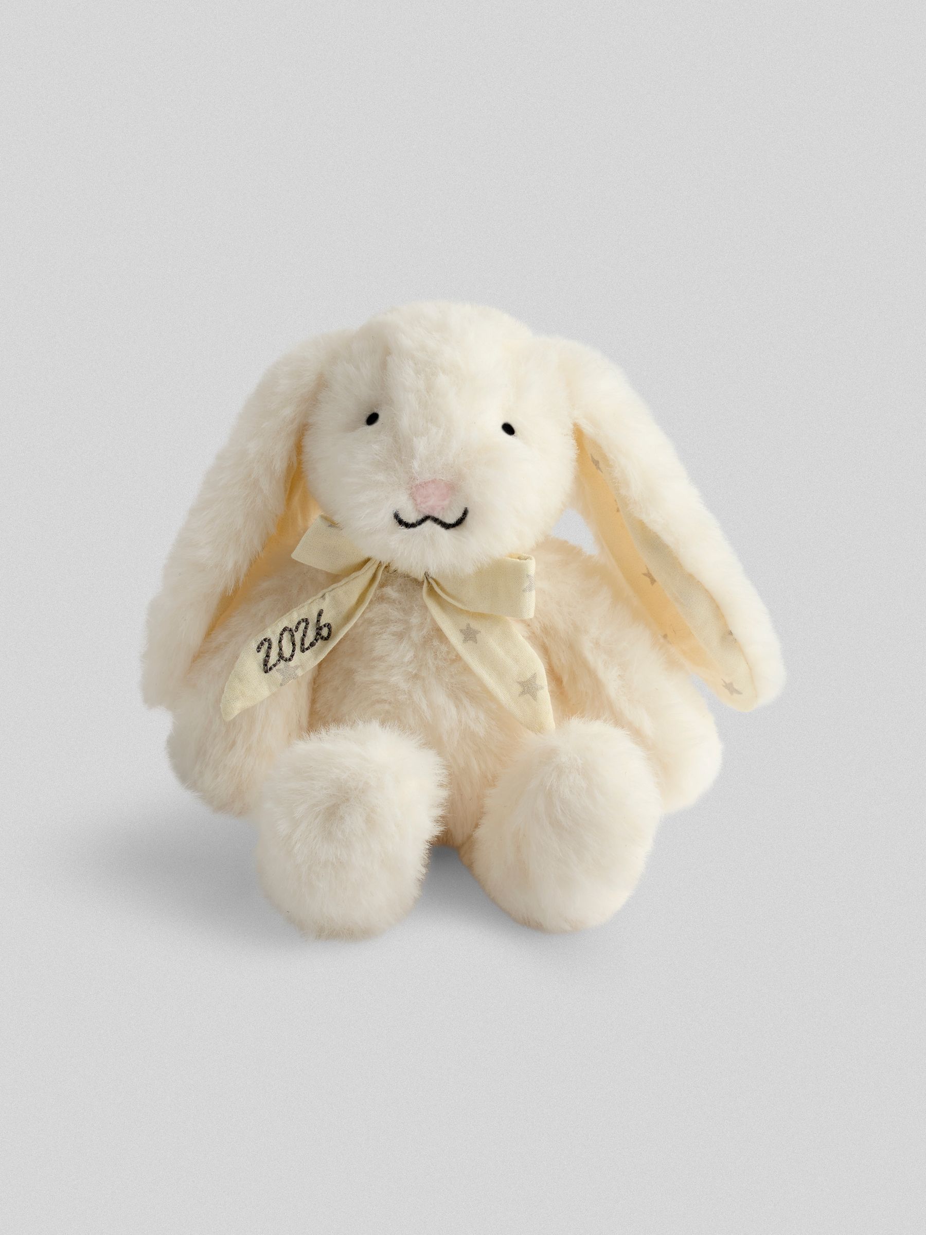 Born in 2026 Bunny Soft Toy Plushie - Image 1 of 3